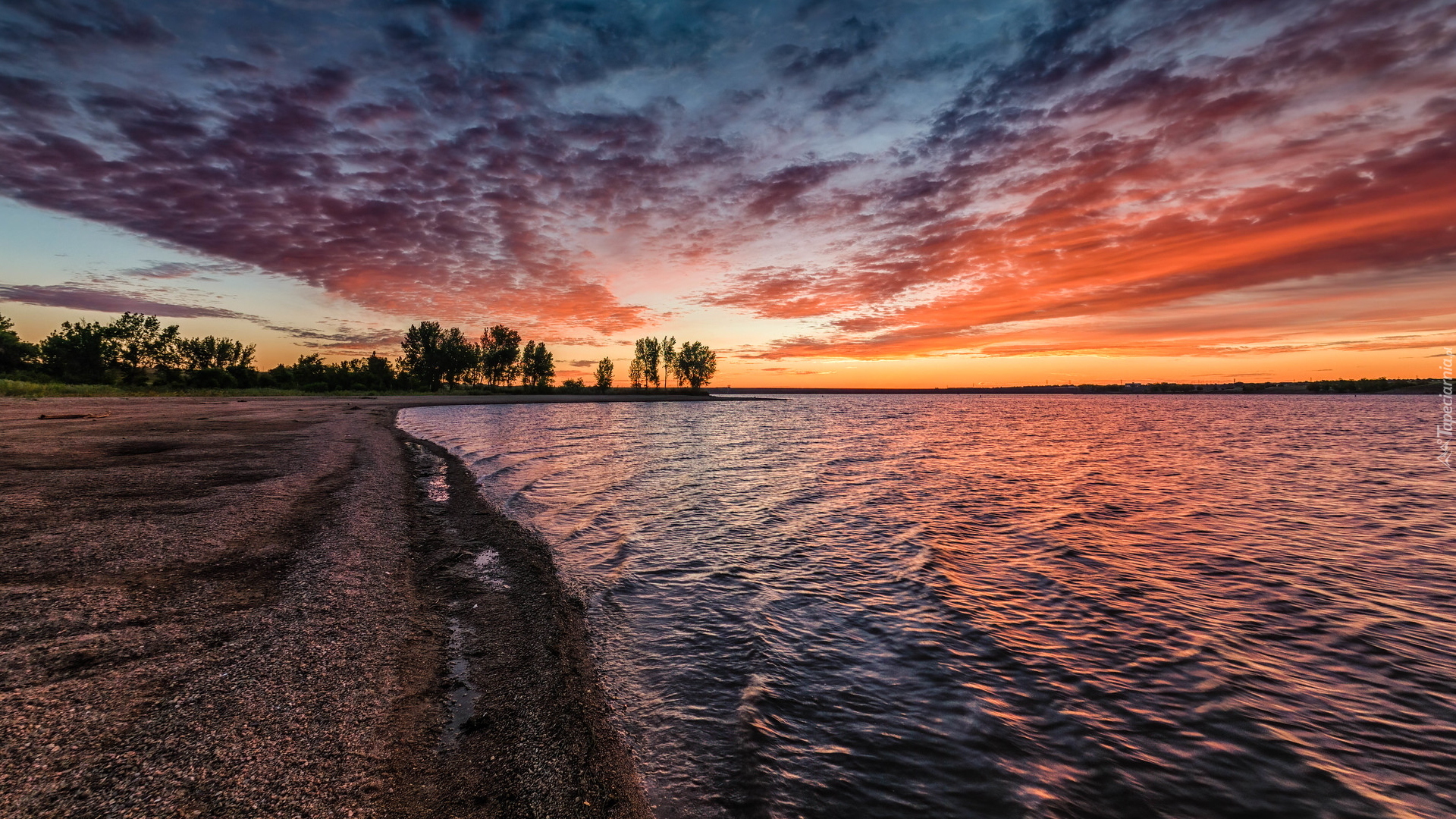 Jezioro, Chatfield Lake, Drzewa, Wschód słońca, Kolorado, Stany Zjednoczone