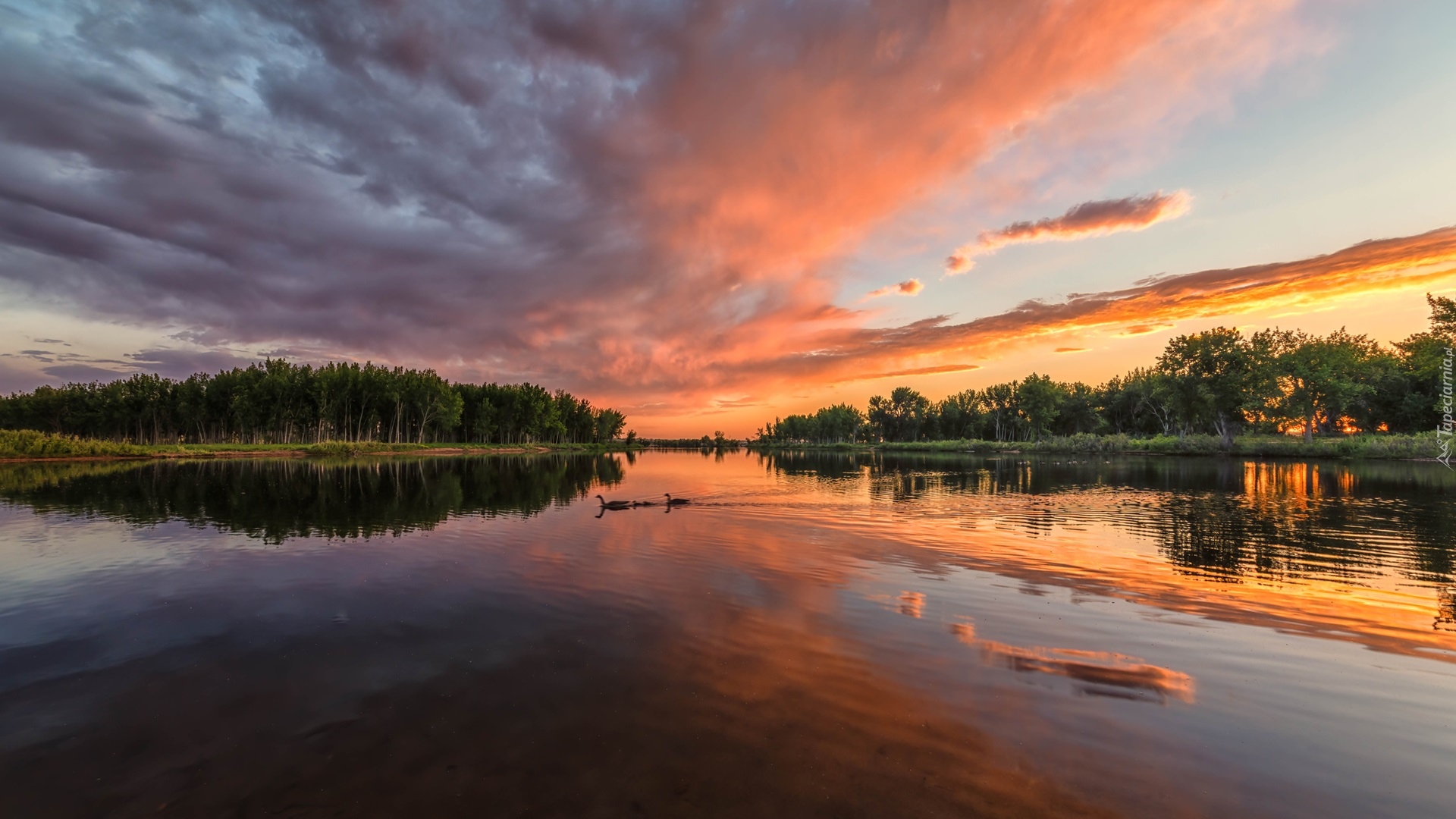 Stany Zjednoczone, Kolorado, Park stanowy, Chatfield State Park, Jezioro, Chatfield Lake, Drzewa, Zachód słońca