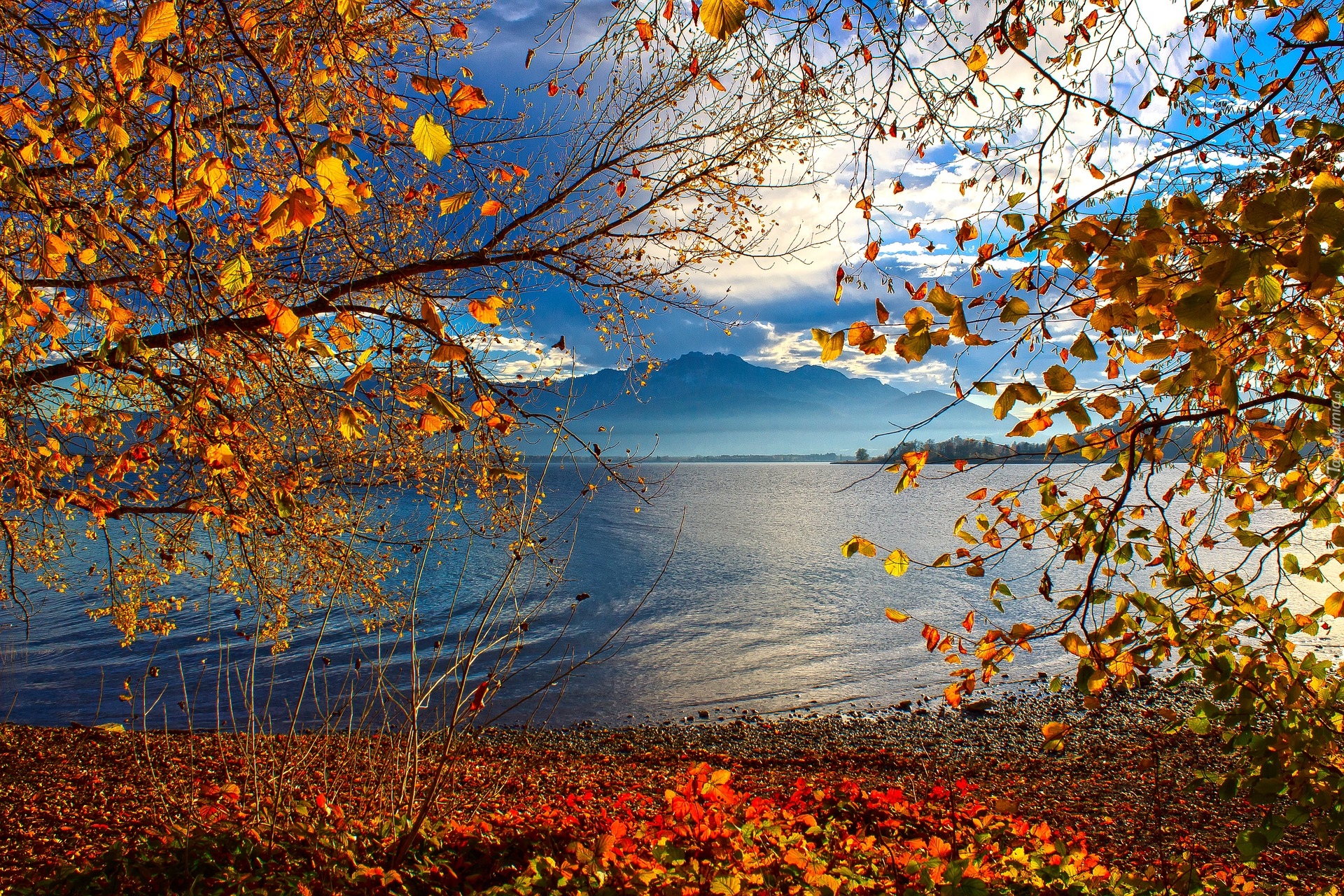 Jesień, Drzewa, Jezioro Chiemsee, Alpy Salzburskie, Bawaria, Niemcy
