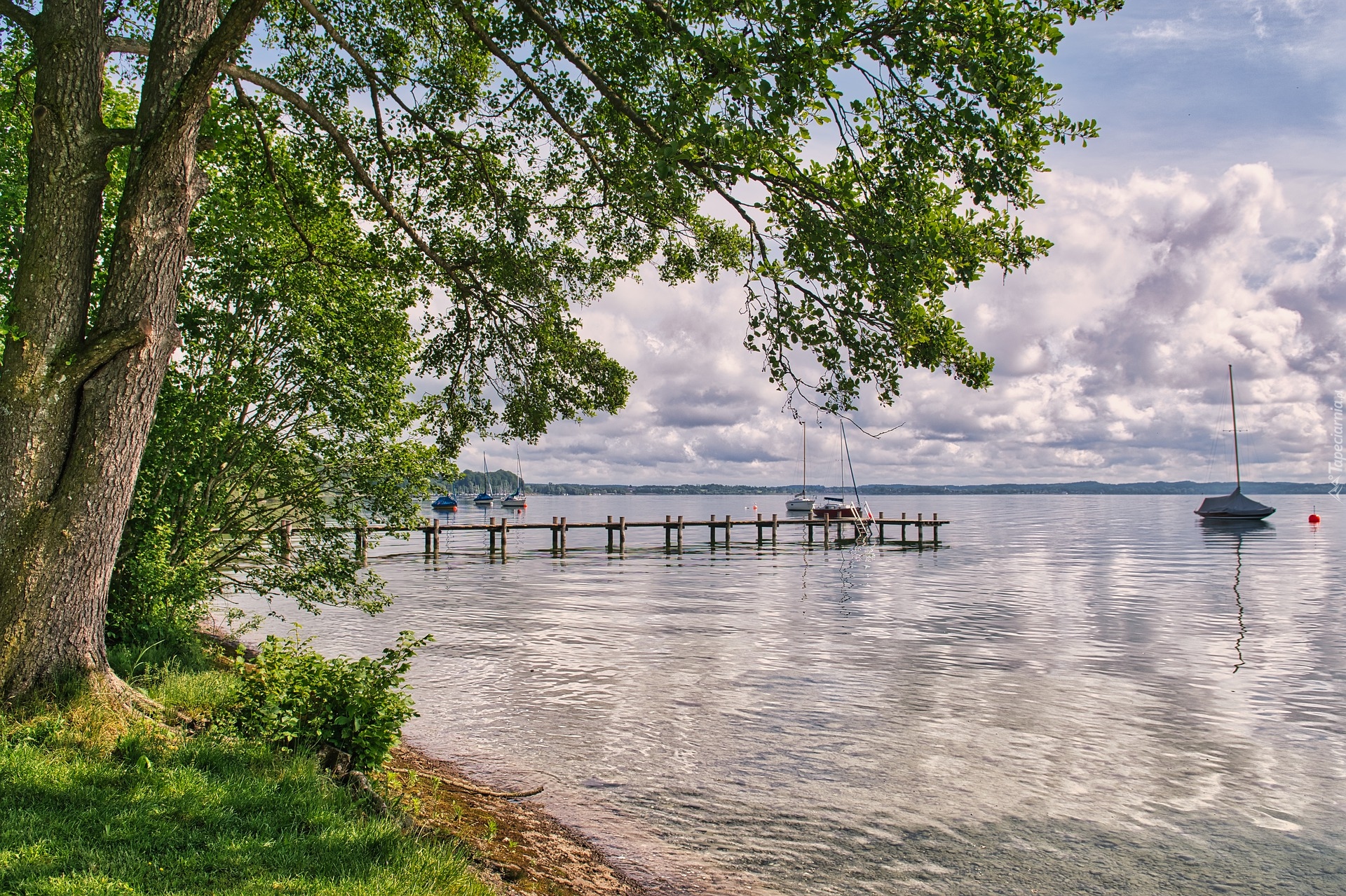 Pomost, Łódki, Jezioro Chiemsee, Drzewa, Bawaria, Niemcy