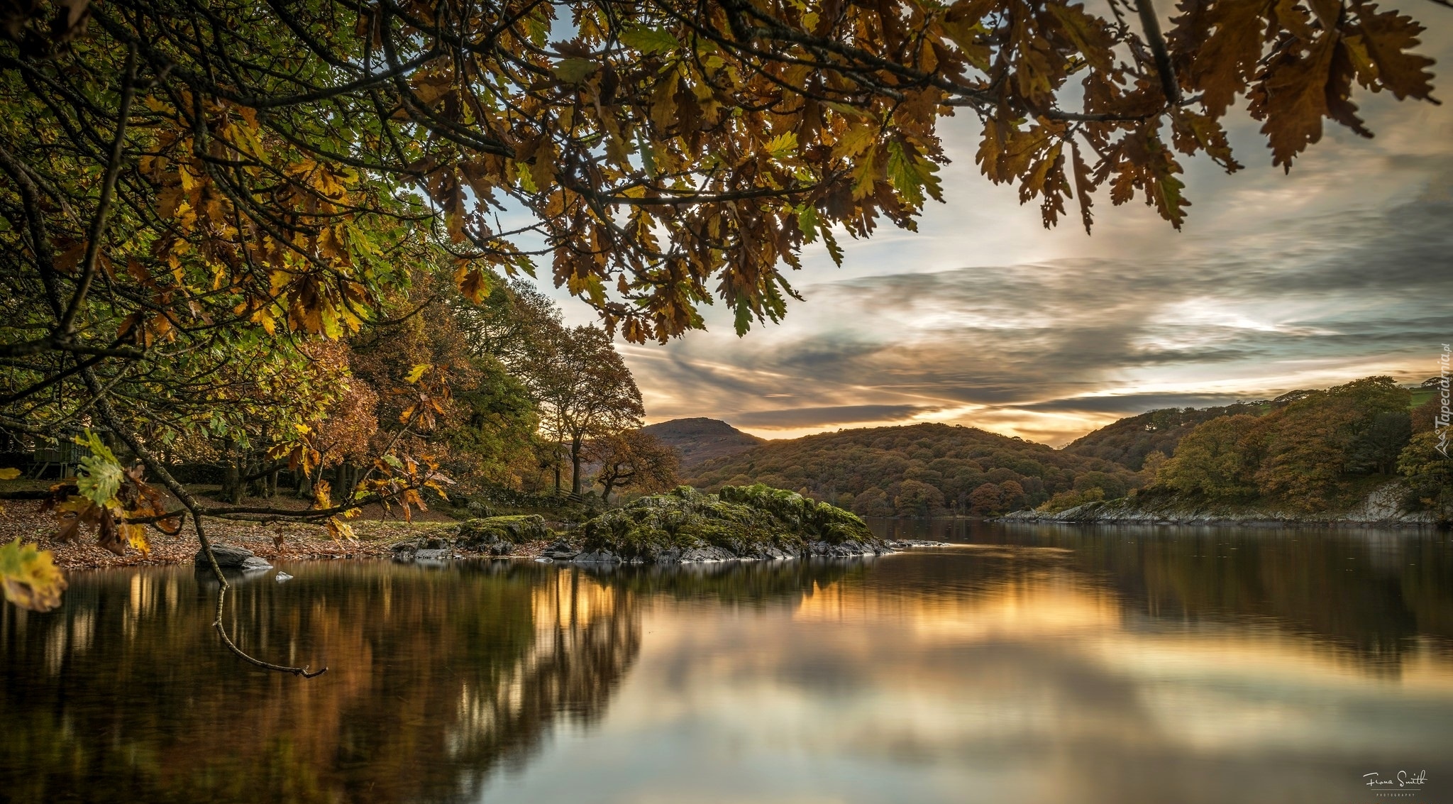 Anglia, Hrabstwo Kumbria, Drzewa, Wzgórza, Jezioro Coniston Lake