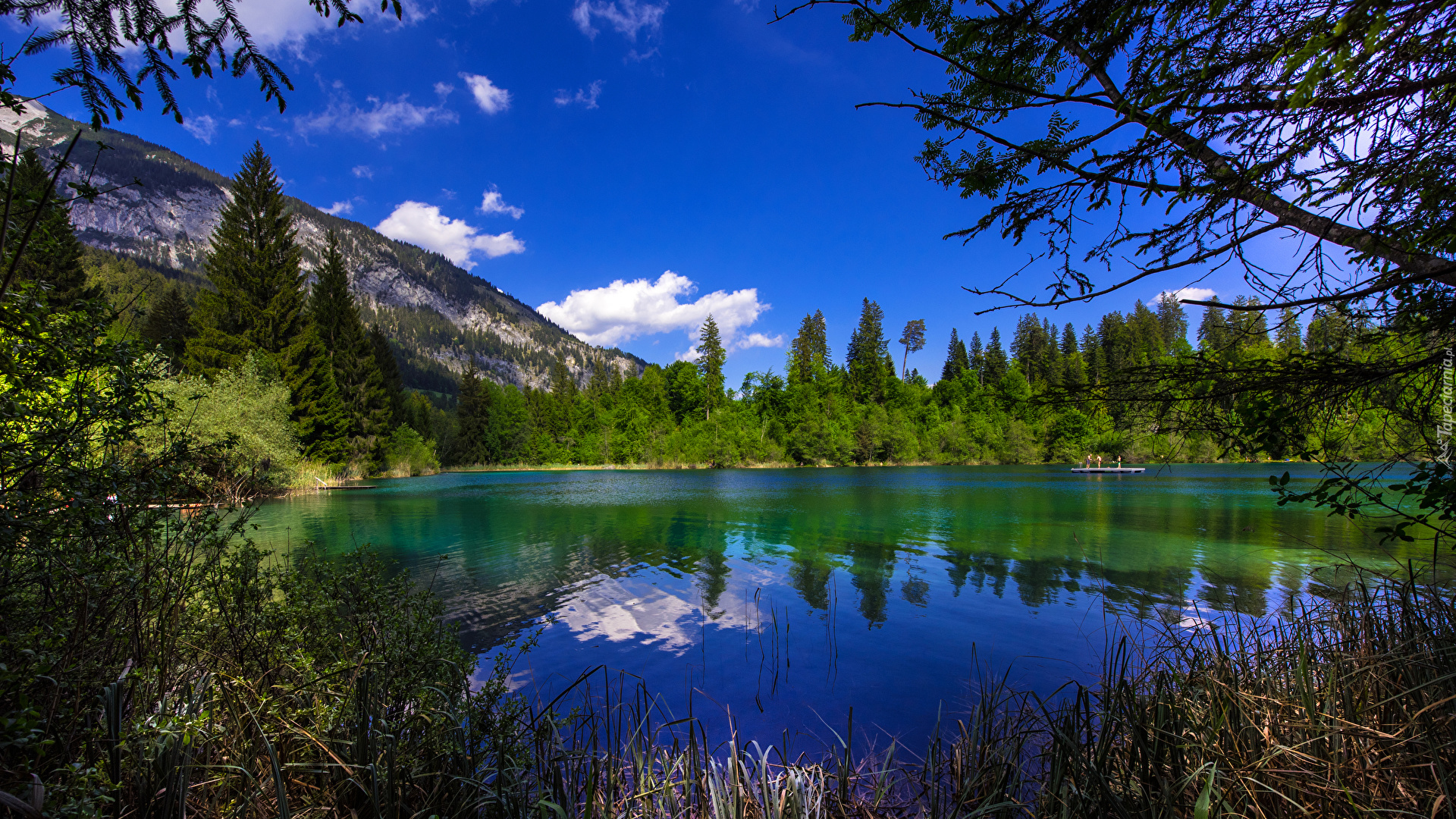 Jezioro Crestasee, Kanton Gryzonia, Szwajcaria, Góry, Drzewa, Krzewy, Odbicie, Niebo