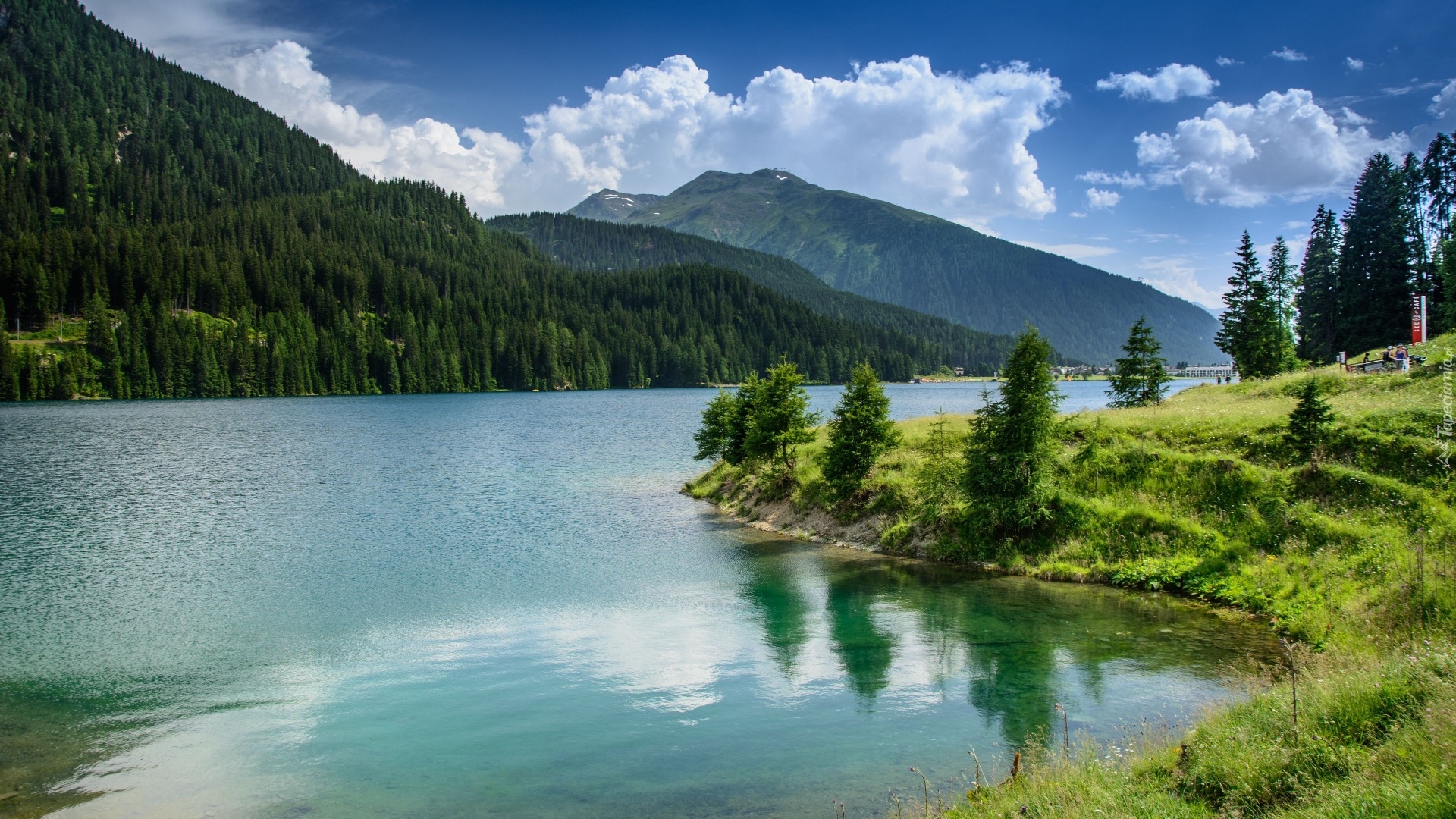 Szwajcaria, Kanton Gryzonia, Góry, Alpy, Jezioro, Davos Lake, Chmury, Las, Drzewa, Trawa