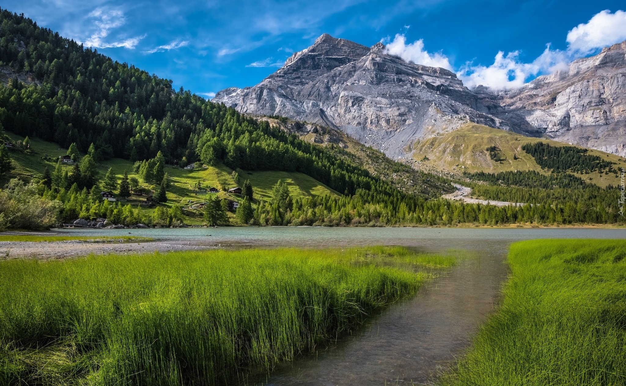 Góry, Alpy, Las, Trawa, Jezioro Lac de Derborence, Kanton Valais, Szwajcaria