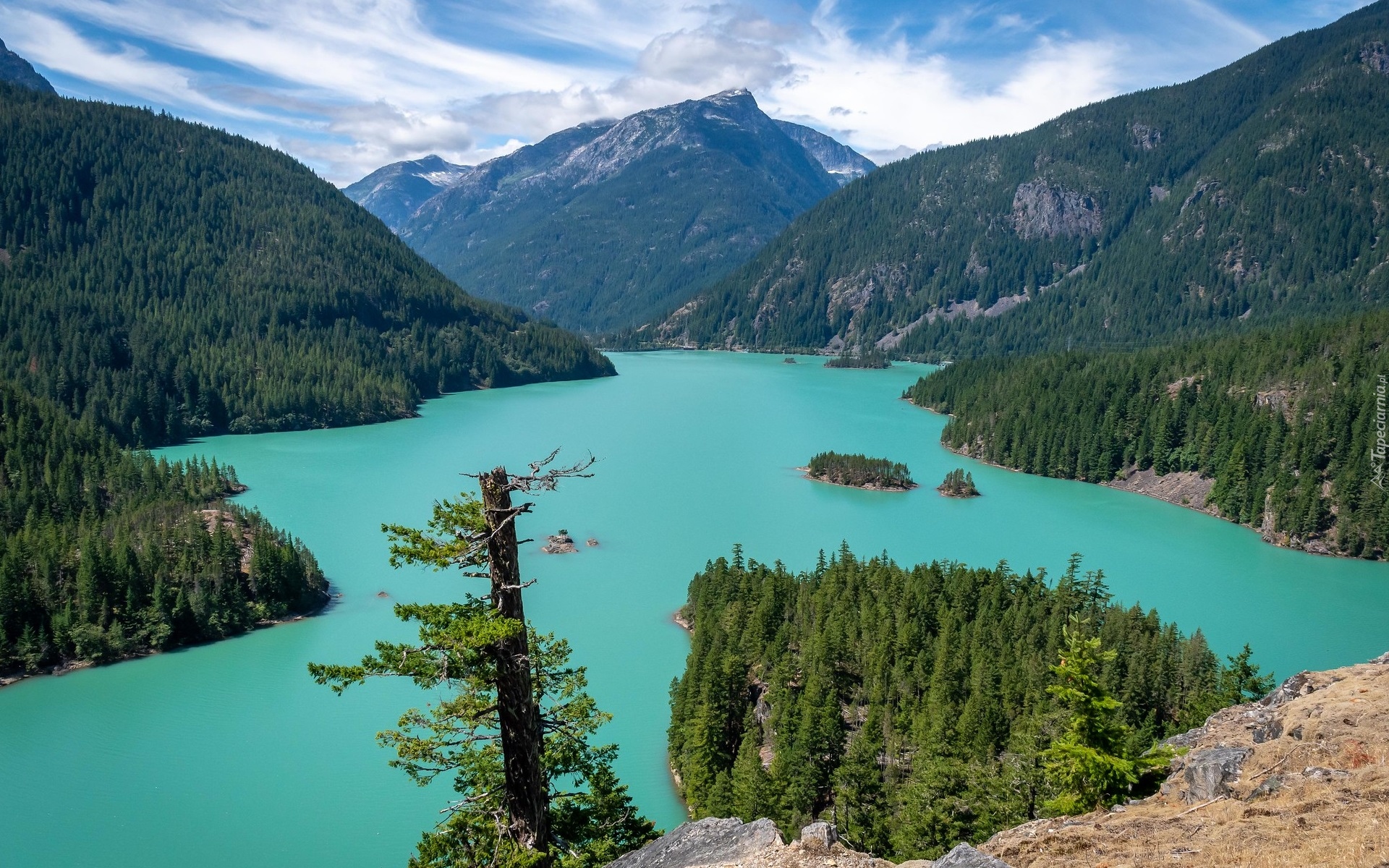 Jezioro, Diablo Lake, Góry, Drzewa, Park Narodowy Północnych Gór Kaskadowych, Stan Waszyngton, Stany Zjednoczone