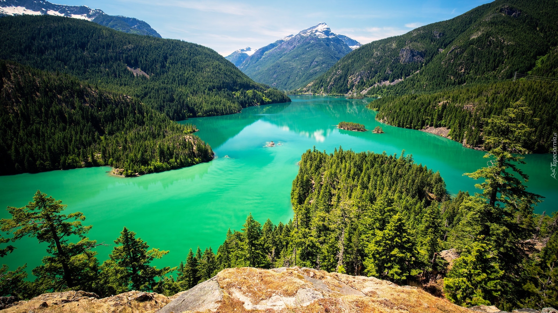 Stany Zjednoczone, Stan Waszyngton, Park Narodowy Północnych Gór Kaskadowych, Góry, Jezioro Diablo Lake, Wysepki, Drzewa