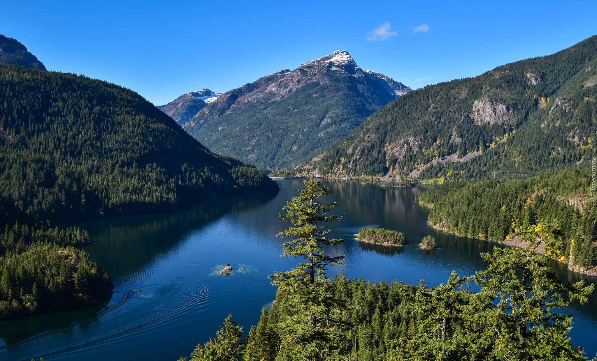 Stany Zjednoczone, Stan Waszyngton, Park Narodowy Północnych Gór Kaskadowych, Góry, Jezioro Diablo Lake, Drzewa