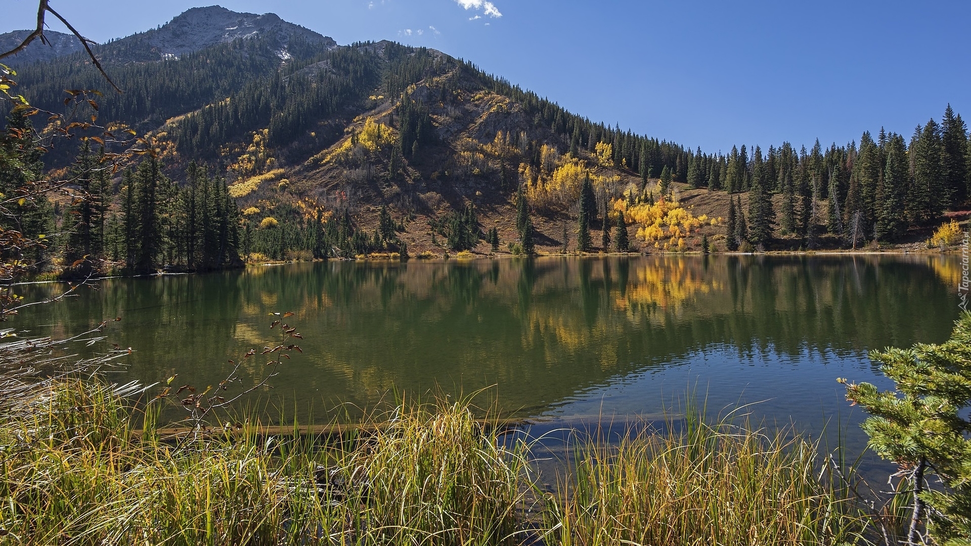 Góry, West Elk Mountains, Jezioro, Dollar Lake, Kolorado, Stany Zjednoczone