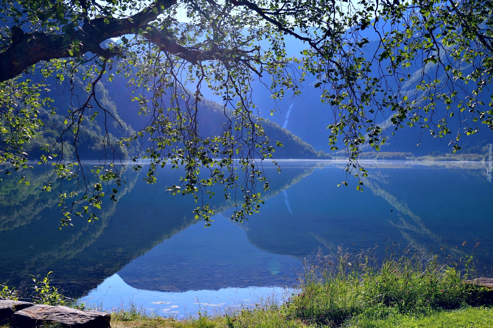 Norwegia, Region Trondelag, Jezioro Eidsvatnet, Drzewo, Góry, Odbicie