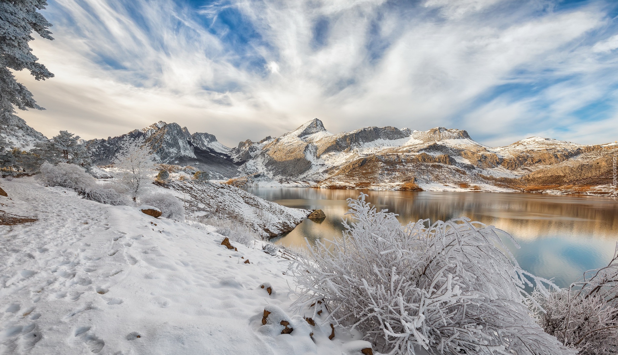 Hiszpania, Kastylia i León, Jezioro Embalse de Riaño, Zima, Góry,  Krzewy, Drzewa, Śnieg