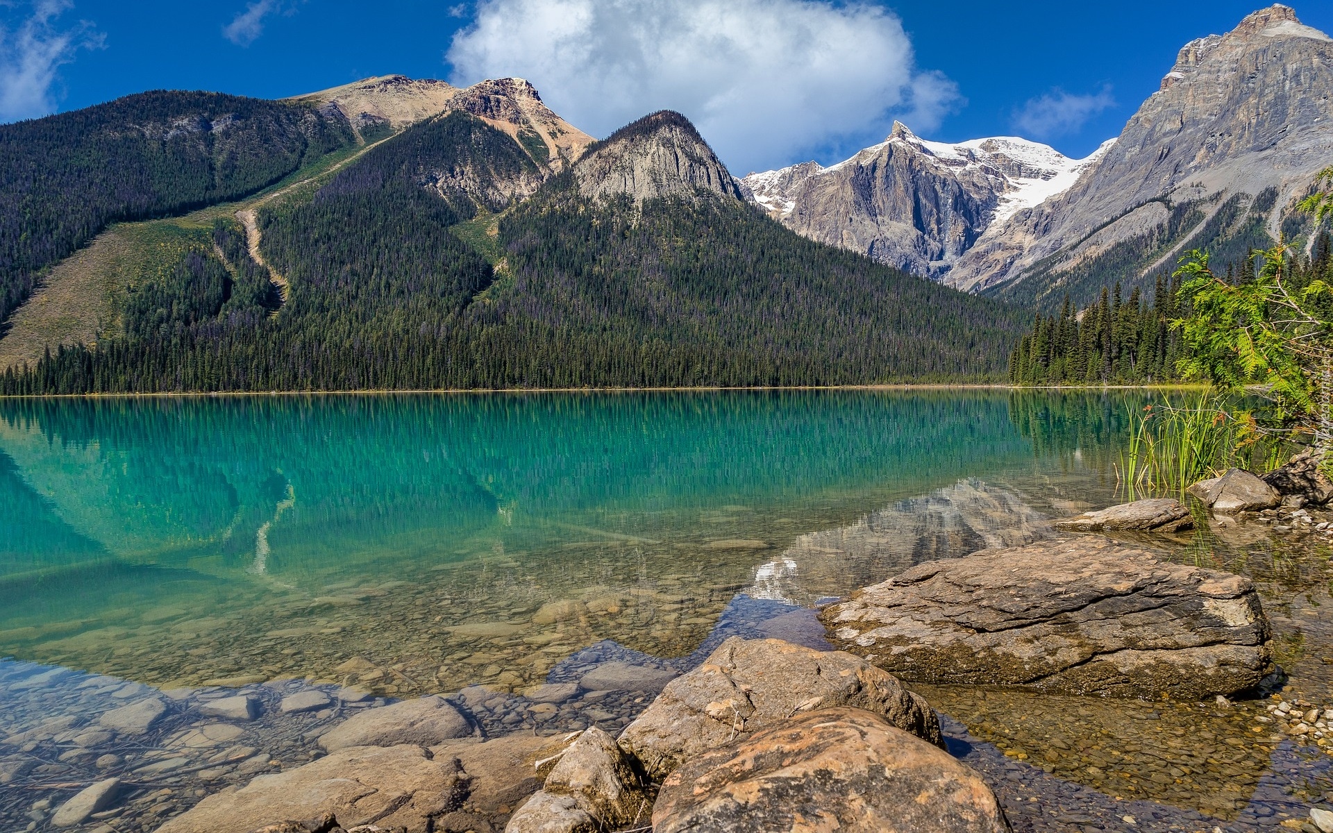 Góry, Jezioro, Emerald Lake, Skały, Świerki, Park Narodowy Yoho, Kolumbia Brytyjska, Kanada