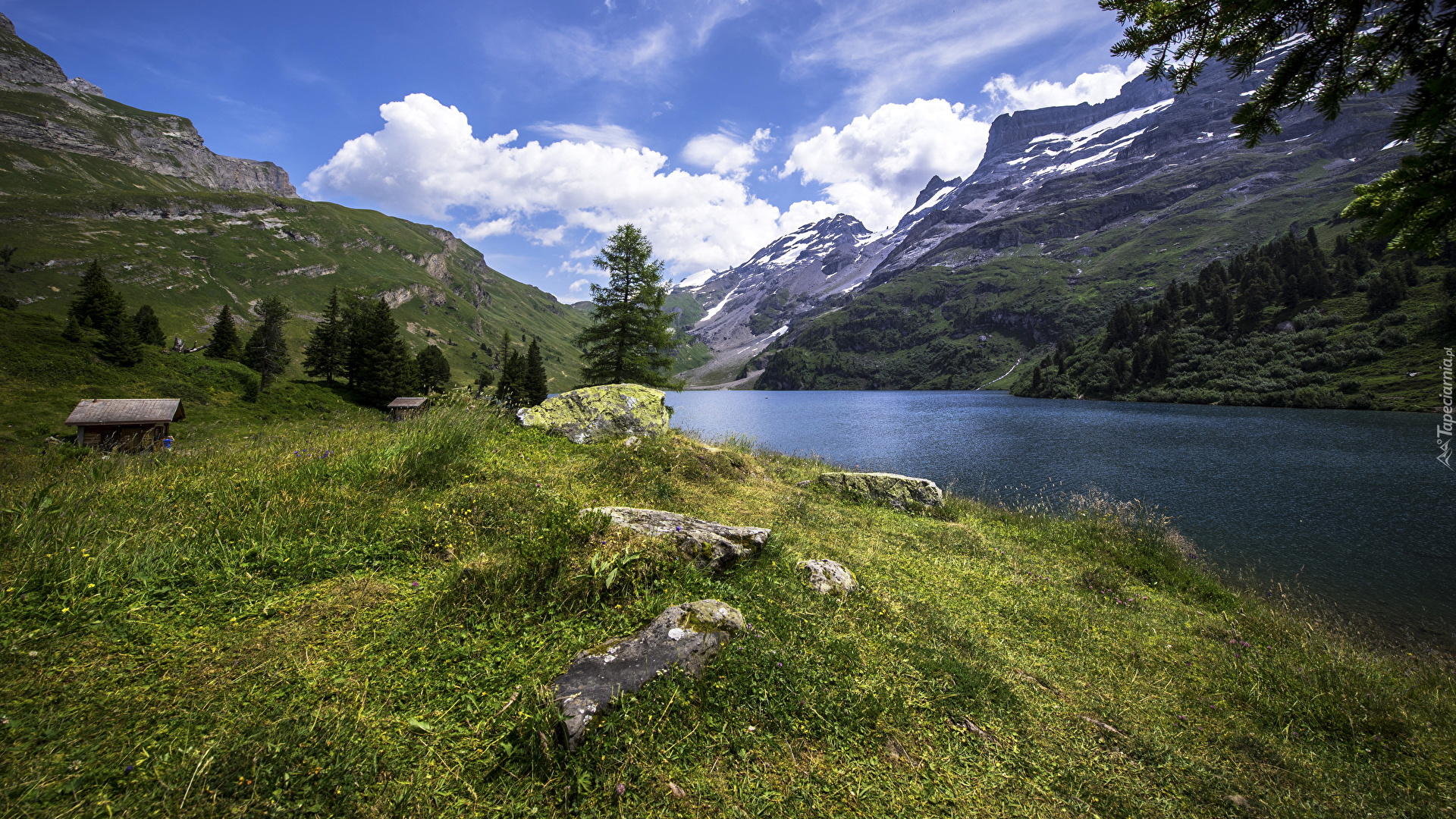 Szwajcaria, Kanton Berno, Góry, Jezioro Engstlensee, Kamienie, Trawa, Drzewa