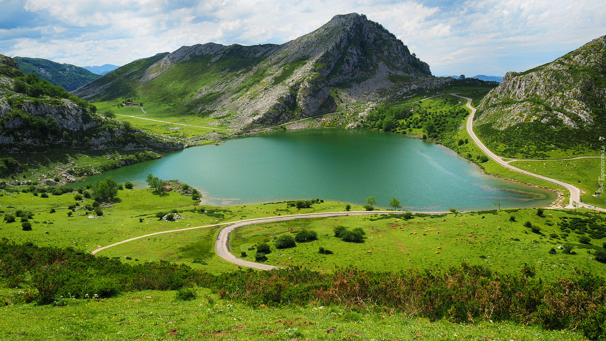 Hiszpania, Miejscowość Covadonga, Jezioro, Enol Lake, Góry, Picos de Europa, Droga