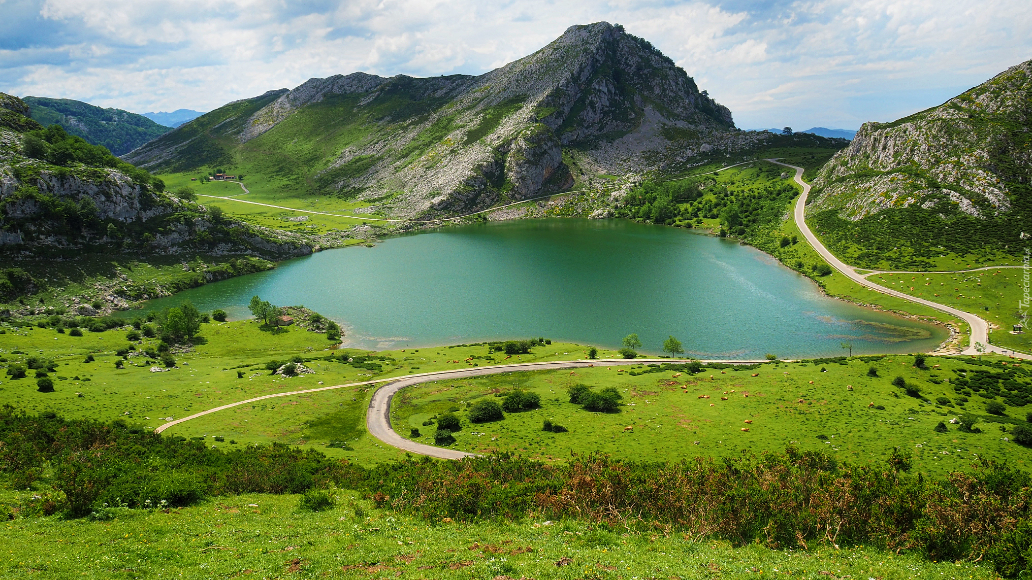 Hiszpania, Miejscowość Covadonga, Jezioro, Enol Lake, Góry, Picos de Europa, Droga