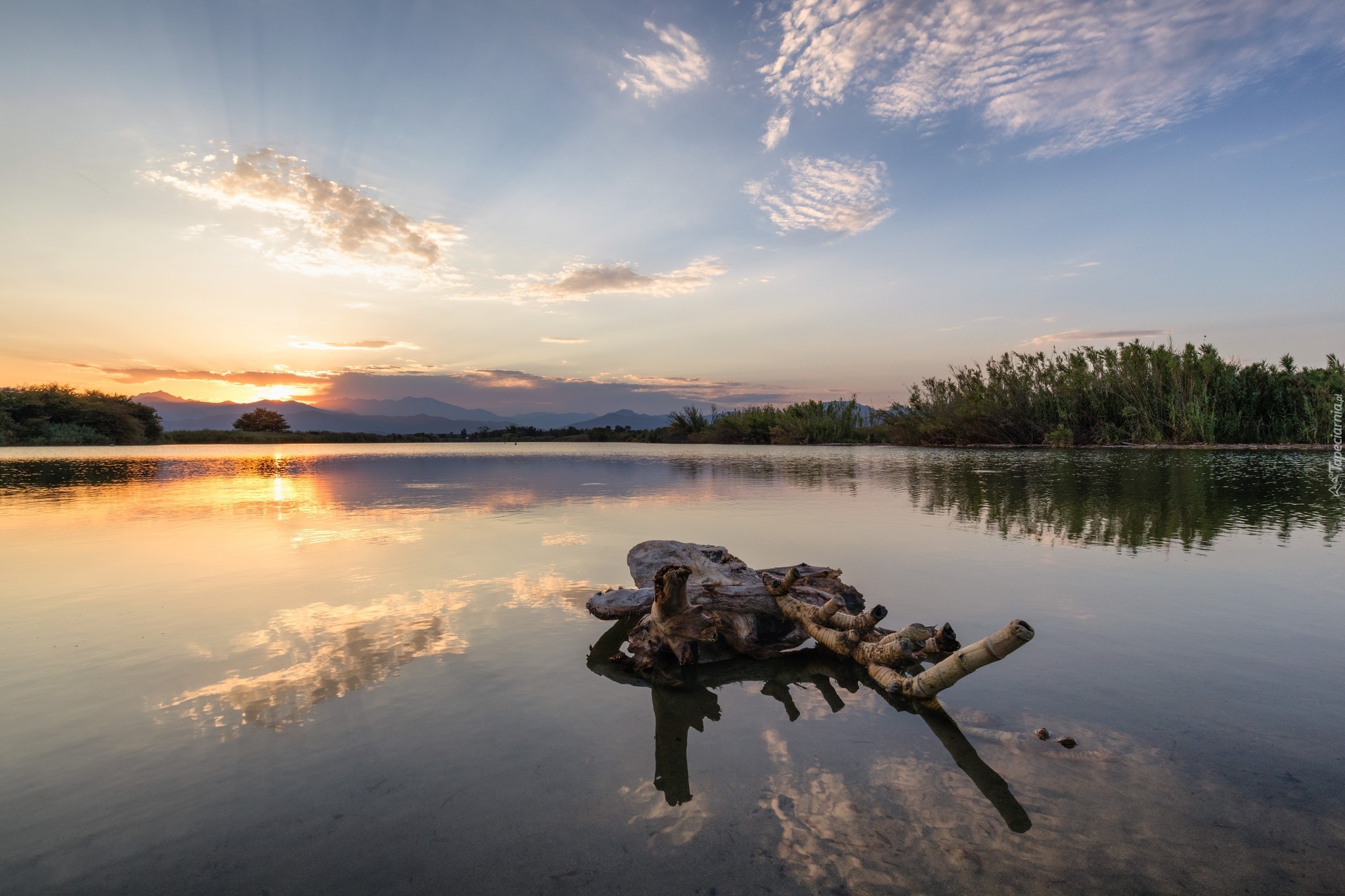 Jezioro Etang del Sale, Gmina Aleria, Korsyka, Francja, Zachód słońca, Drzewa, Suchy, Konar, Drzewa