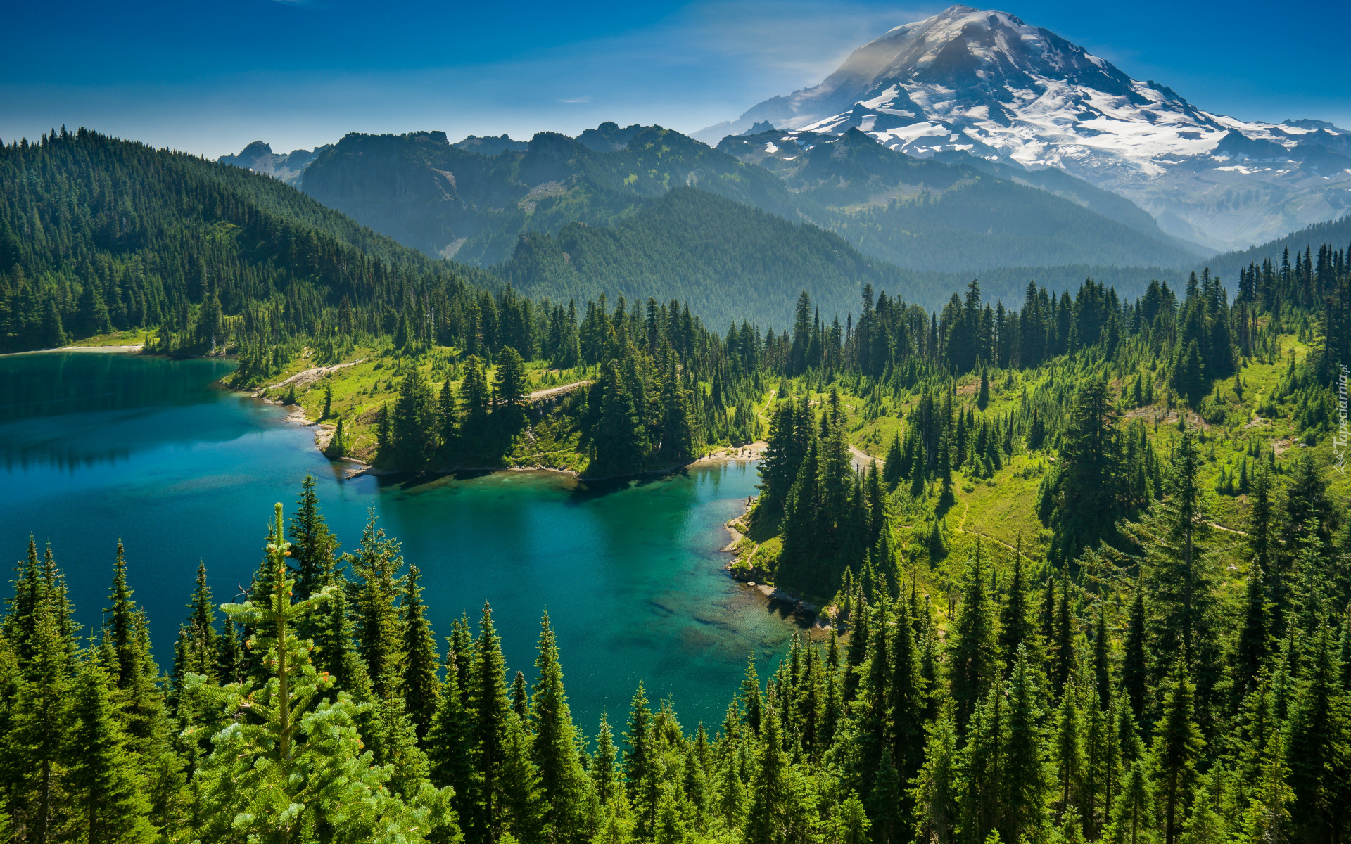 Las, Drzewa, Góry Kaskadowe, Góra, Mount Rainier, Jezioro, Eunice Lake, Park Narodowy Mount Rainier, Stan Waszyngton, Stany Zjednoczone