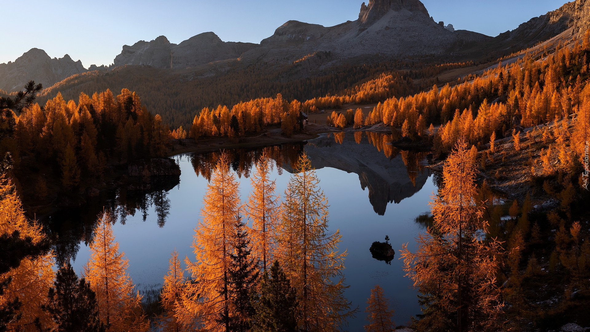 Jezioro, Federa Lake, Góry, Dolomity, Pożółkłe, Drzewa, Modrzewie, Jesień, Prowinca Belluno, Włochy