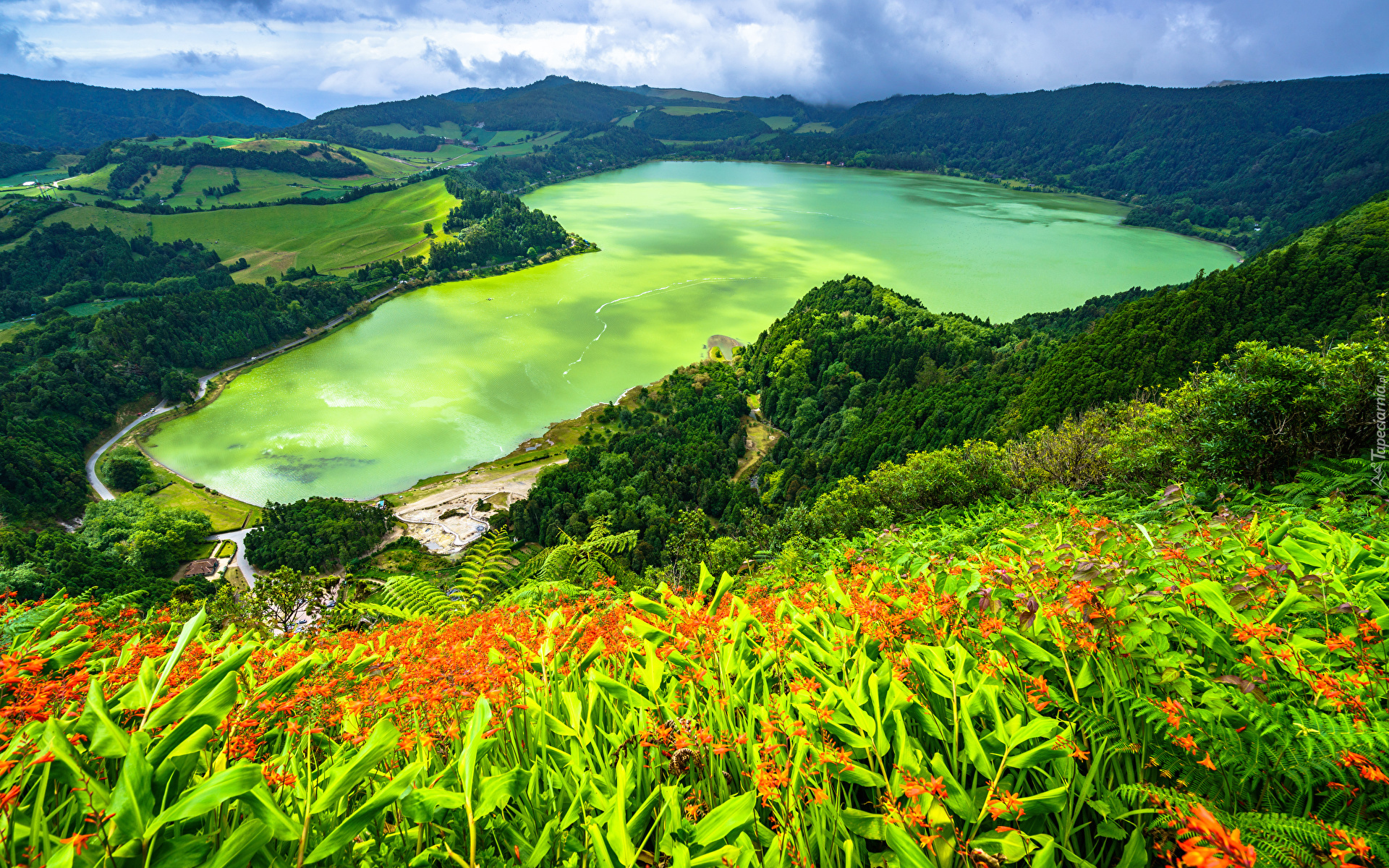 Góry, Zielone, Wzgórza, Kwiaty, Roślinność, Jezioro Furnas, Azory, Wyspa Sao Miguel, Portugalia