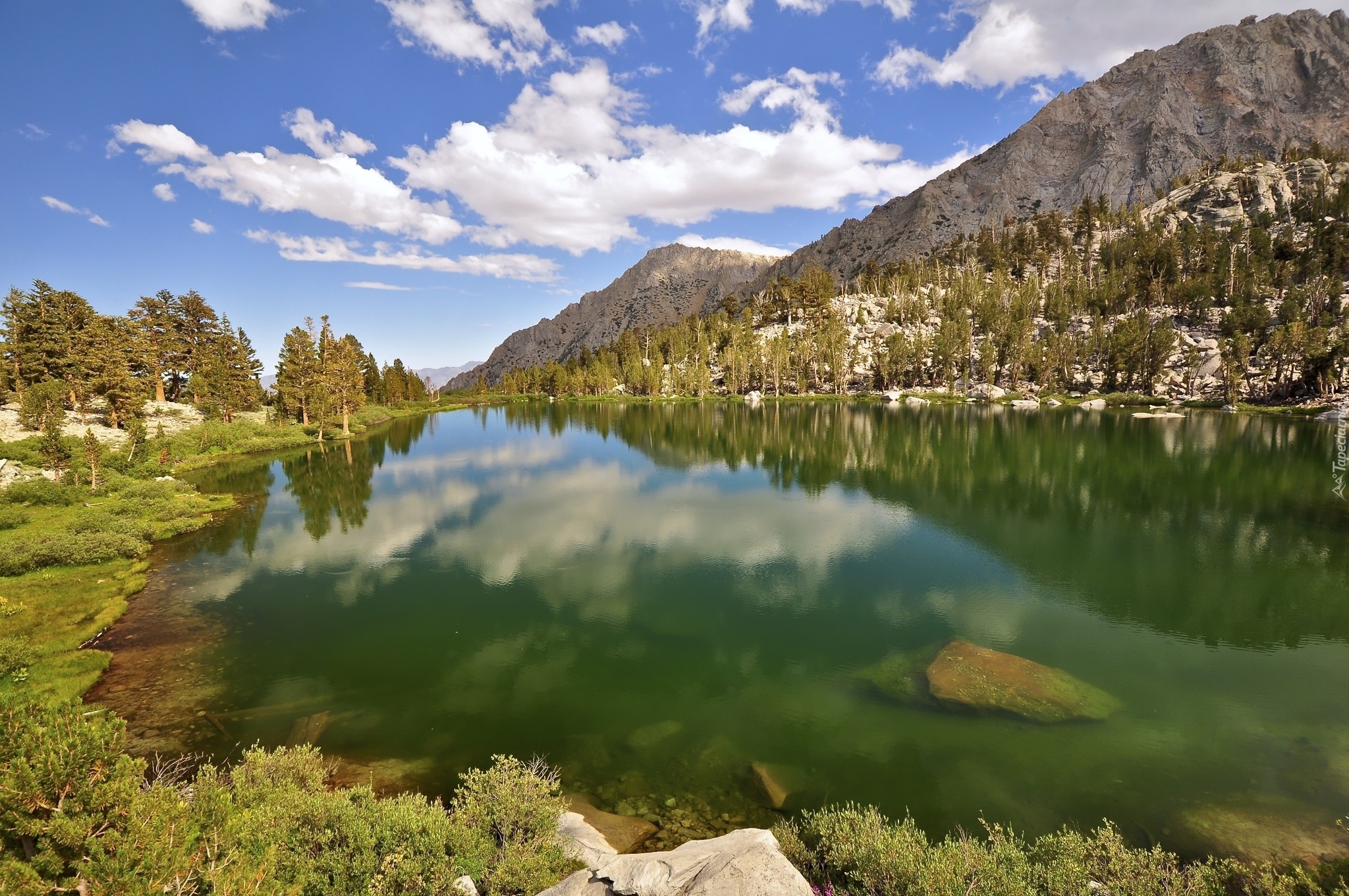 Jezioro Gilbert Lake, Góry Sierra Nevada, Drzewa, Roślinność, Chmury, Miejsce John Muir Wilderness, Stan Kalifornia, Stany Zjednoczone