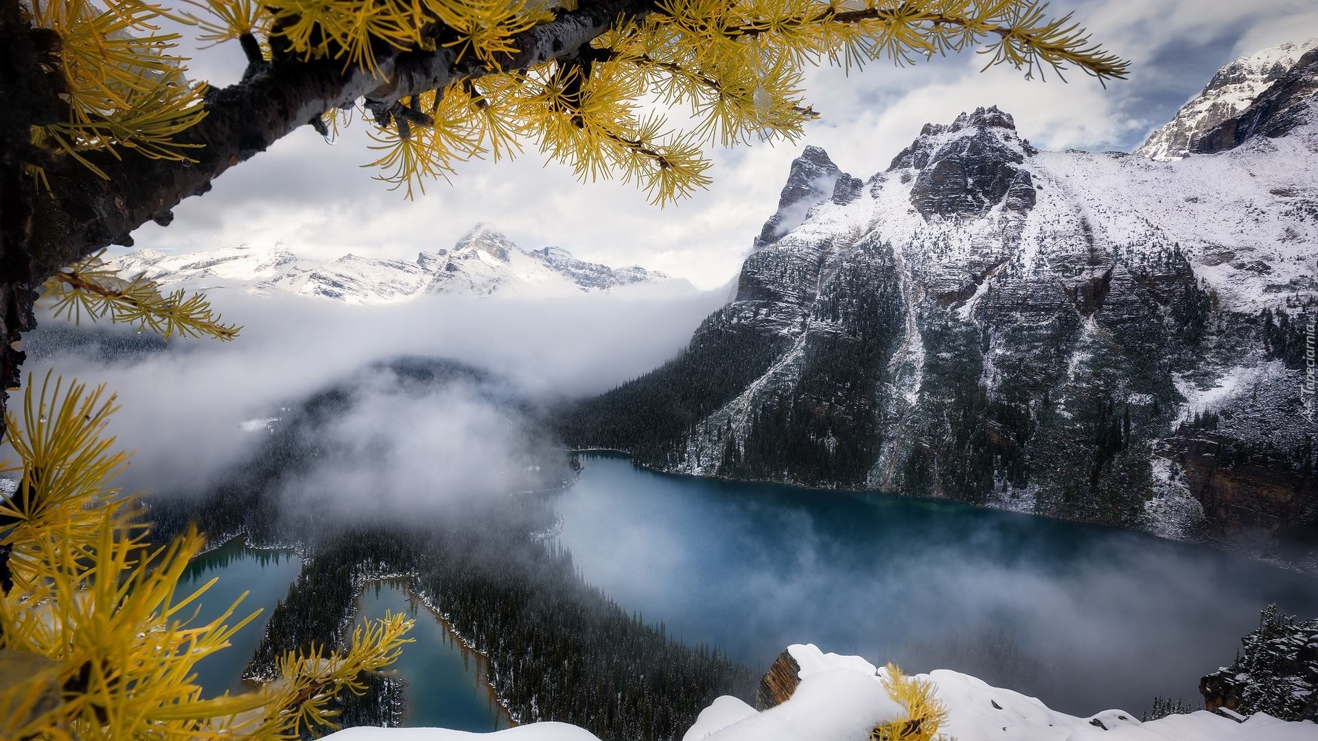 Góry, Canadian Rockies, Jezioro, OHara Lake, Las, Mgła, Chmury, Park Narodowy Yoho, Kanada