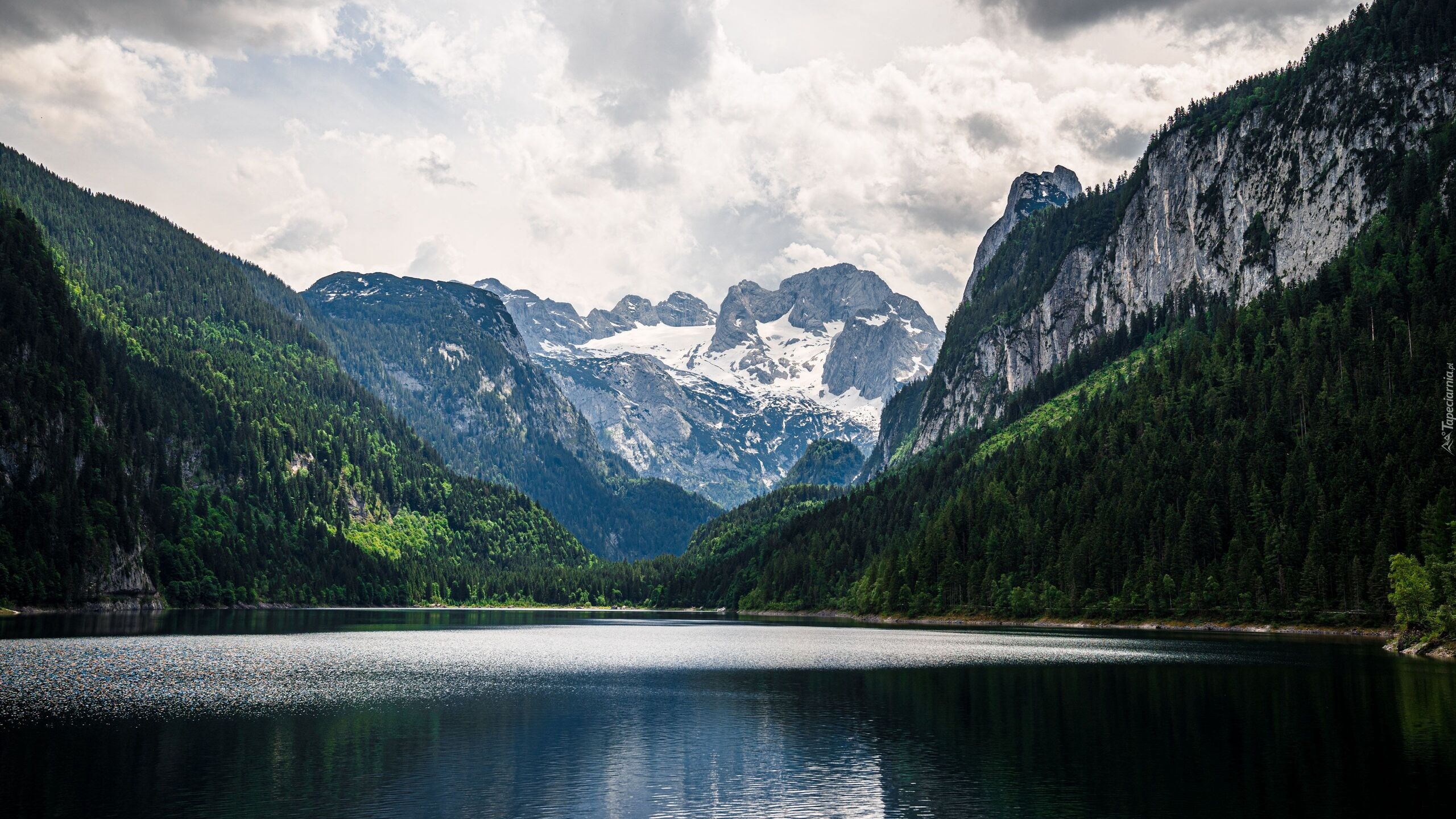 Austria, Góry Dachstein, Jezioro, Gosauseen, Zielone, Lasy