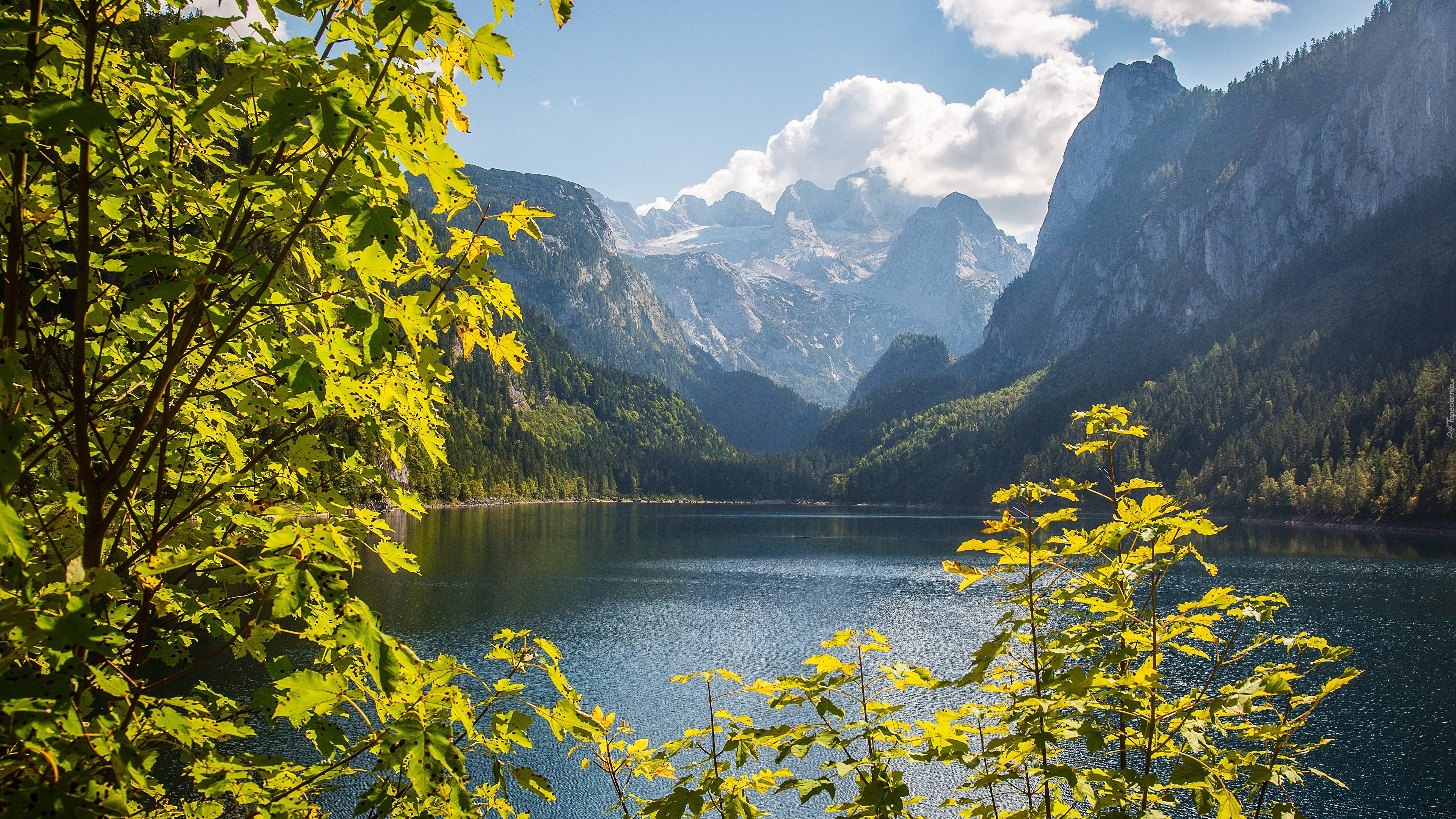 Jezioro Gosauseen, Góry, Alpy Salzburskie, Lasy, Drzewa, Powiat Gmunden, Austria