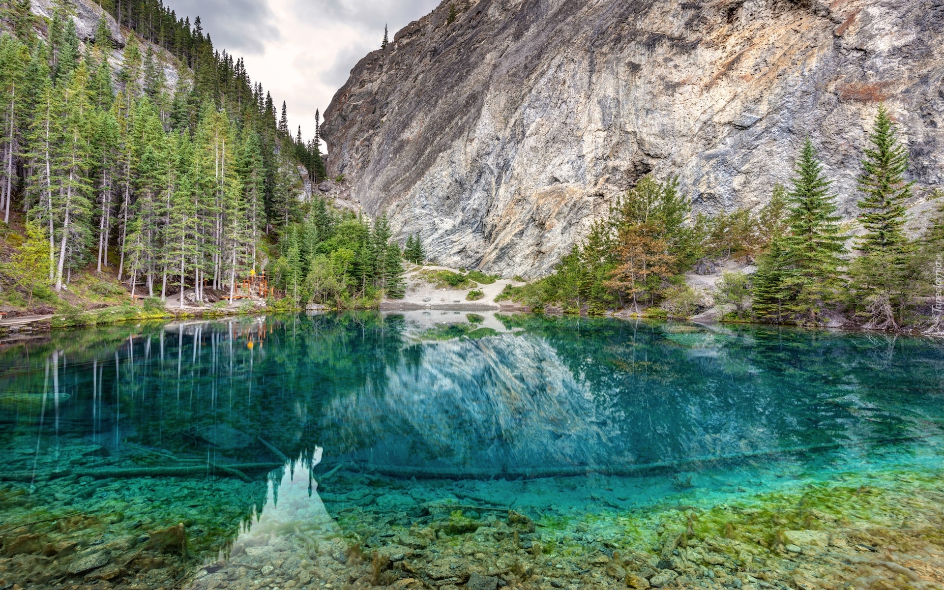 Kanada, Prowincja Alberta, Góry, Kanadyjskie Góry Skaliste, Drzewa, Jezioro, Grassi Lake