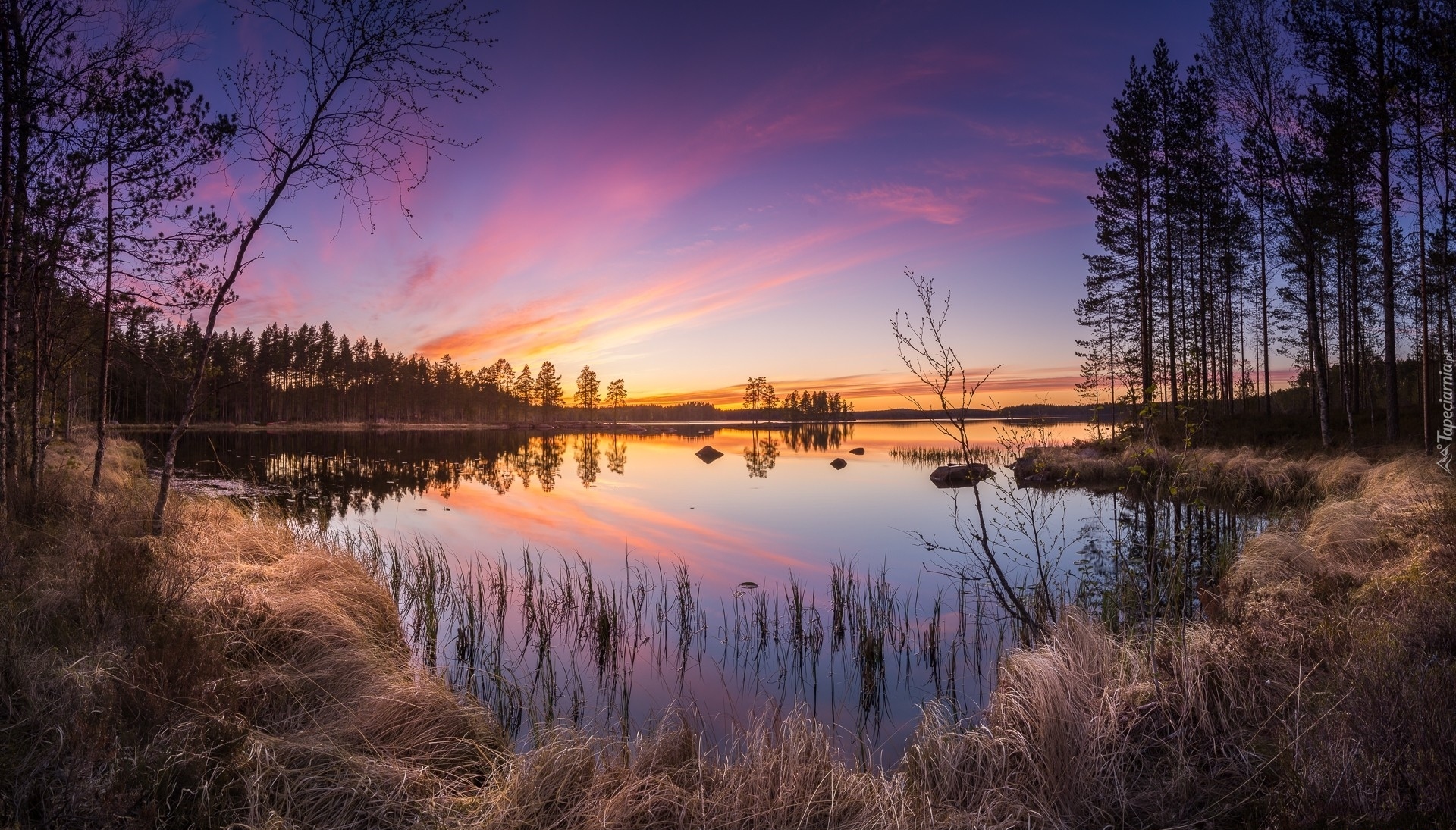 Finlandia, Gmina Ruovesi, Park Narodowy Helvetinjarvi, Jezioro Haukkajarvi, Drzewa, Zachód słońca