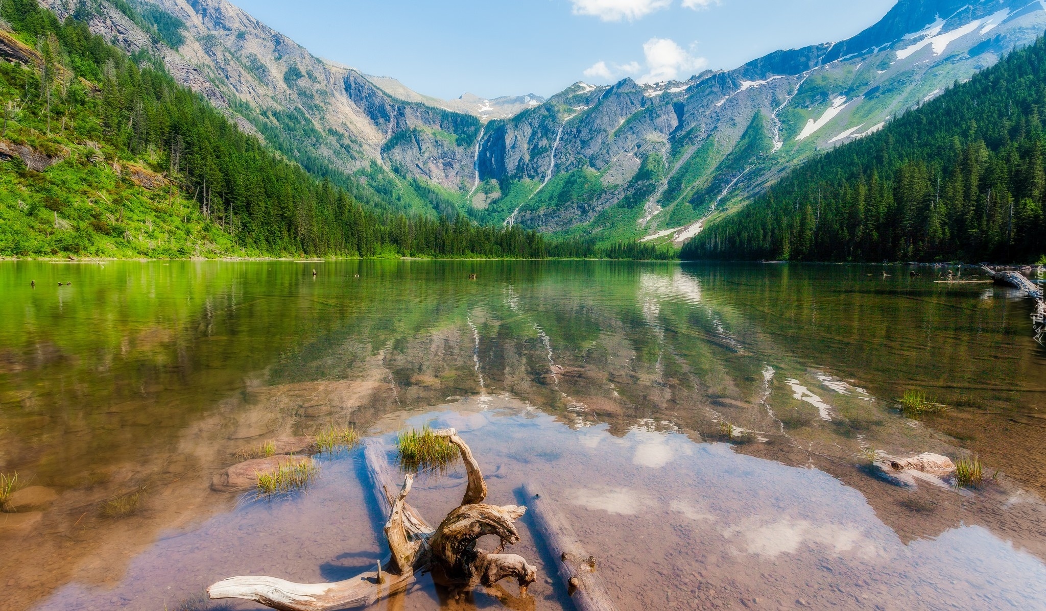 Stany Zjednoczone, Stan Montana, Park Narodowy Glacier, Jezioro Hidden Lake, Góry, Drzewa