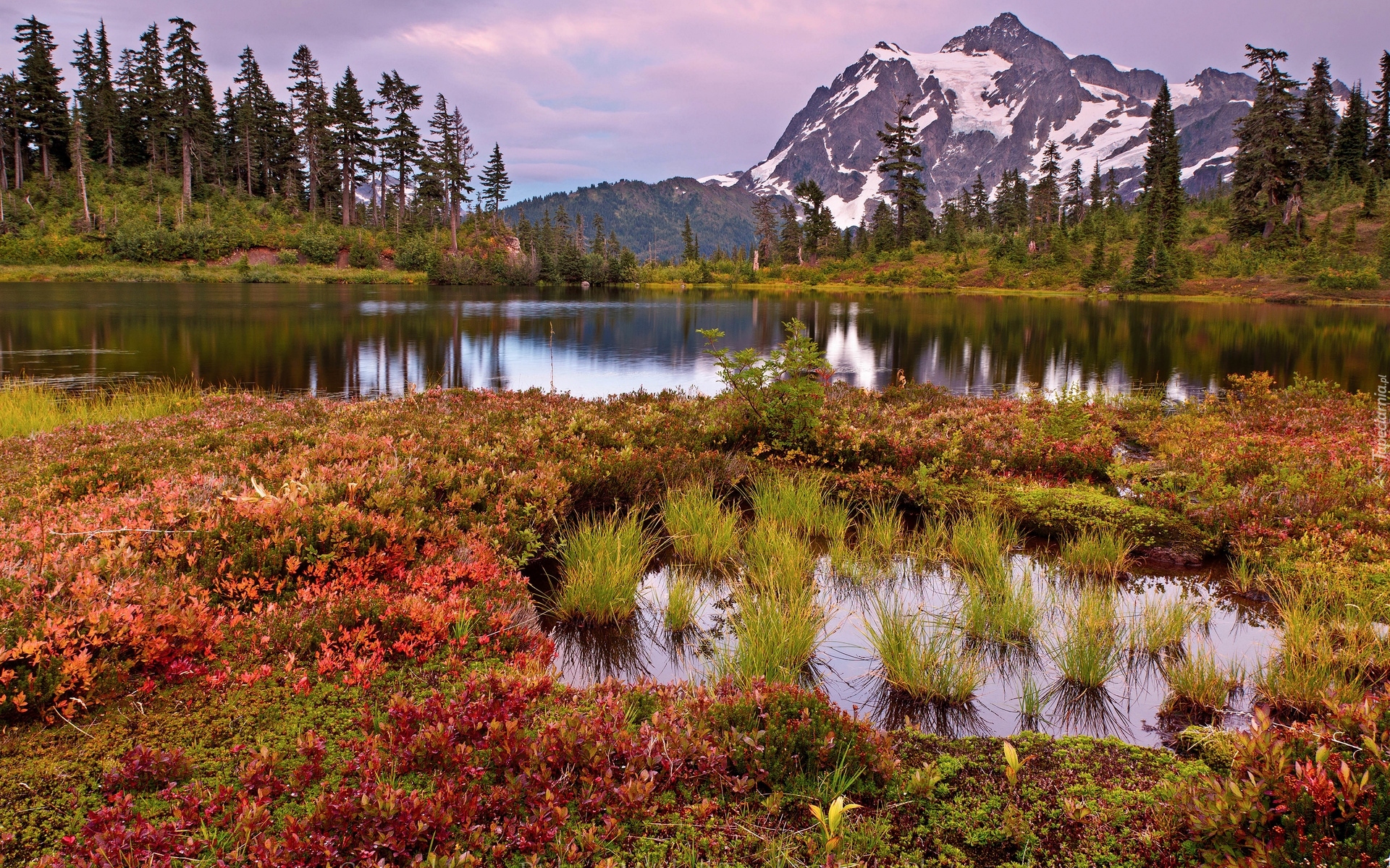 Jezioro Highwood Lake, Góry, Góra Shuksan, Trawy, Drzewa, Park Narodowy Północnych Gór Kaskadowych, Stan Waszyngton, Stany Zjednoczone