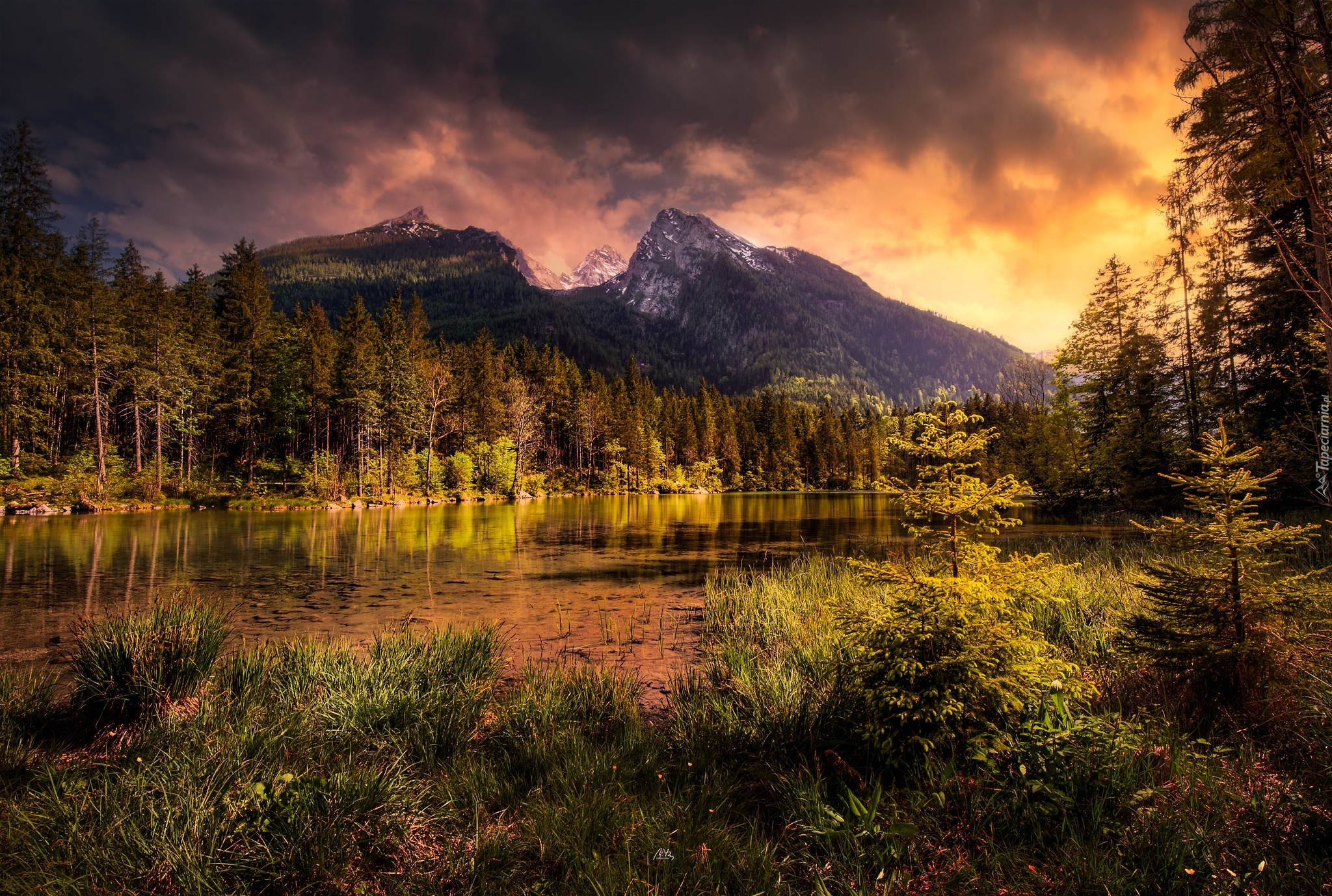 Jezioro Hintersee, Powiat Berchtesgadener, Bawaria, Niemcy, Góry, Drzewa