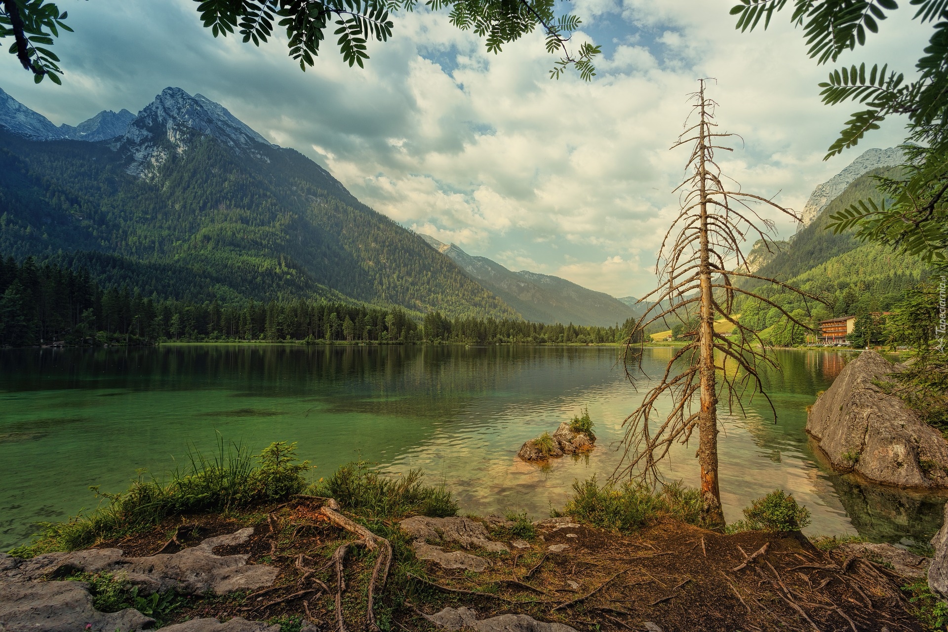 Góry Alpy, Jezioro Hintersee, Lasy, Drzewo, Gmina Ramsau bei Berchtesgaden, Bawaria, Niemcy