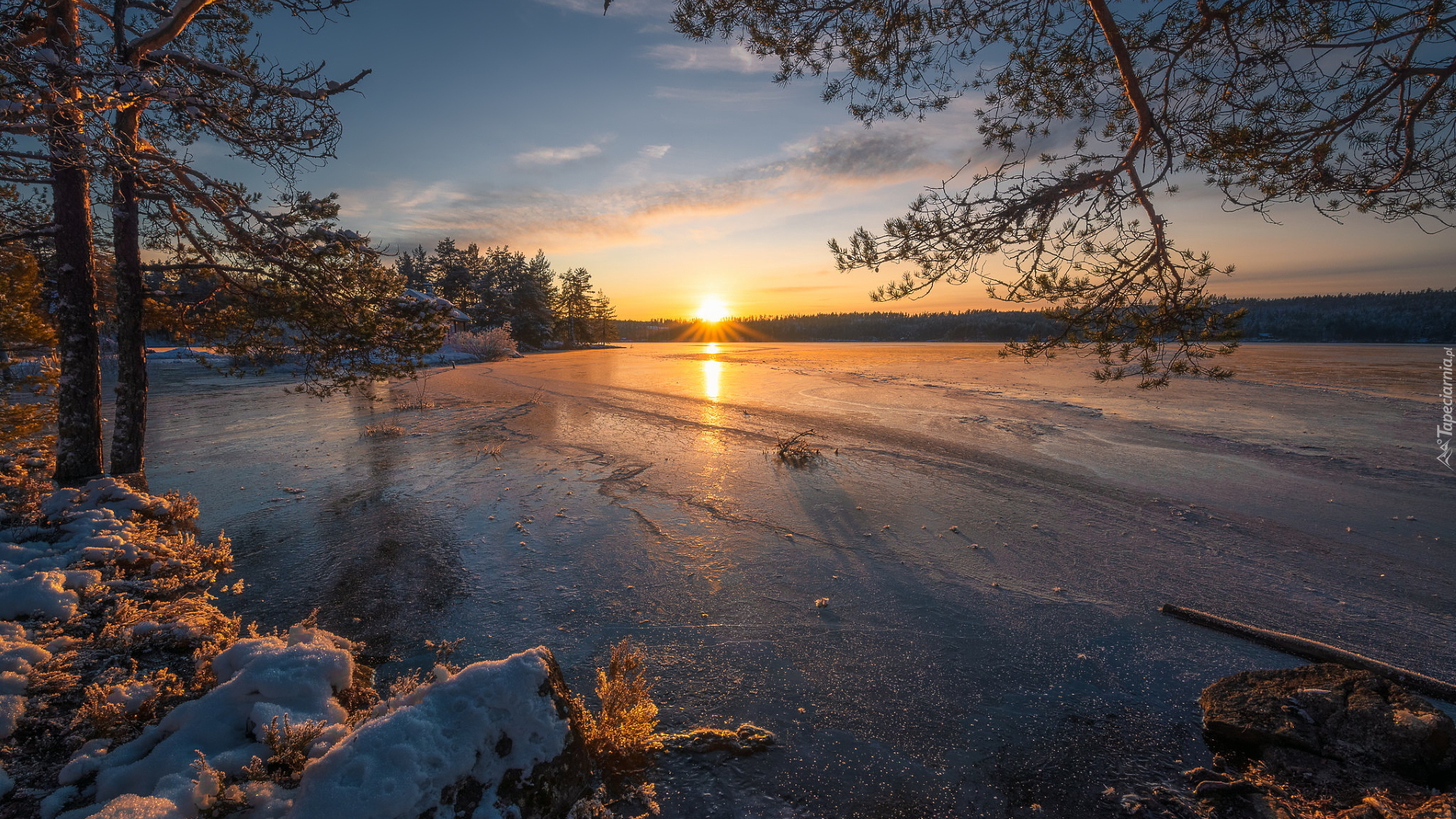 Jezioro, Drzewa, Zachód słońca, Zima, Ringerike, Norwegia