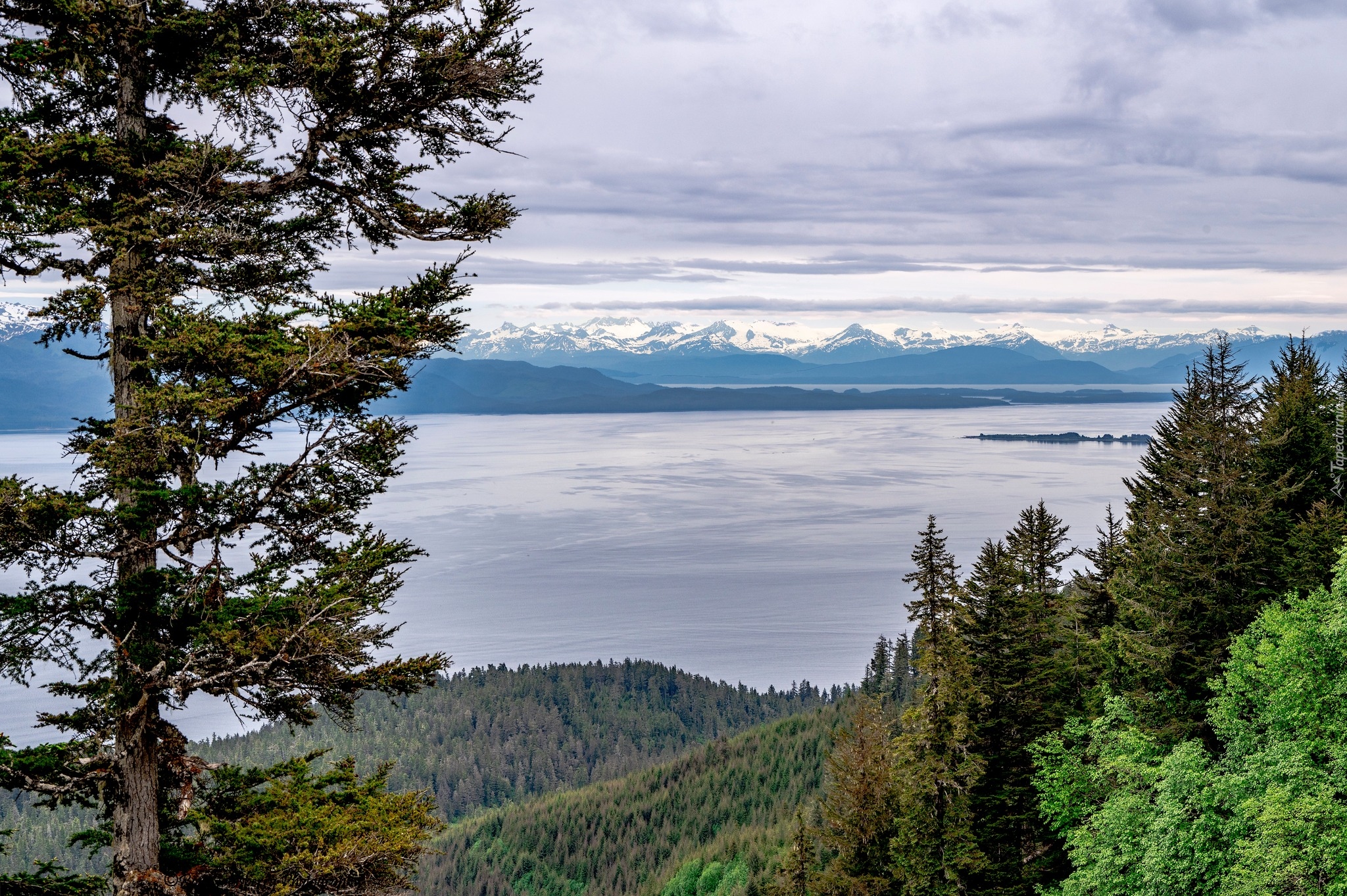 Stany Zjednoczone, Alaska, Jezioro, Góry, Drzewa