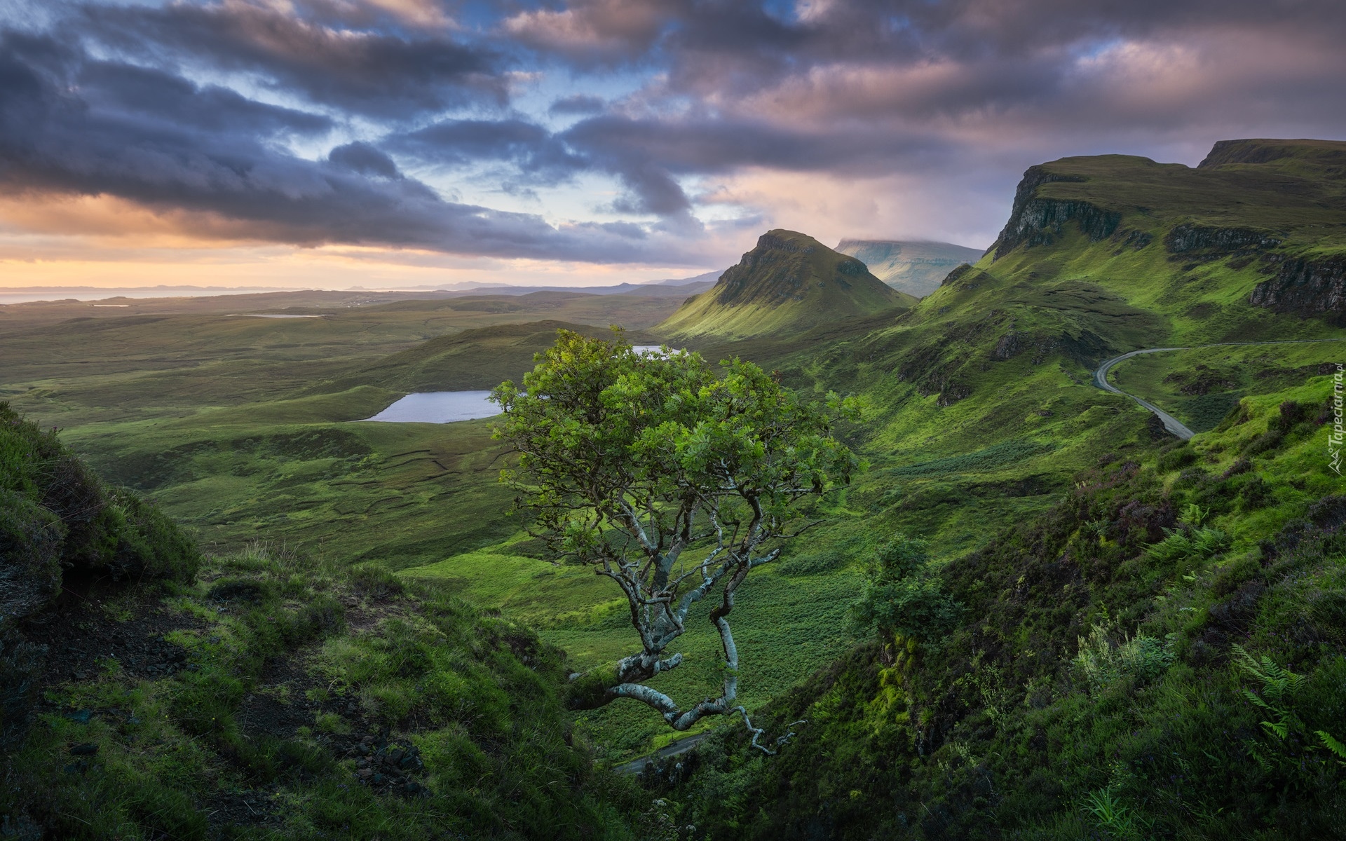 Góry, Wzgórza, Jeziora, Drzewo, Chmury, Wyspa Skye, Wzgórze Quiraing, Szkocja