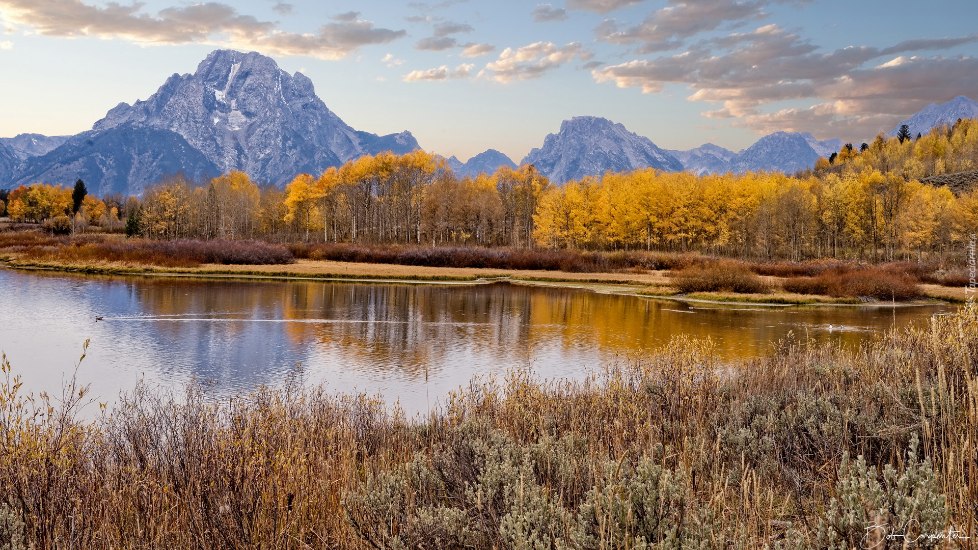 Jesień, Park Narodowy Grand Teton, Góry, Teton Range, Pożółkła, Trawa, Drzewa, Topole osikowe, Jezioro, Jackson Lake, Stan Wyoming, Stany Zjednoczone