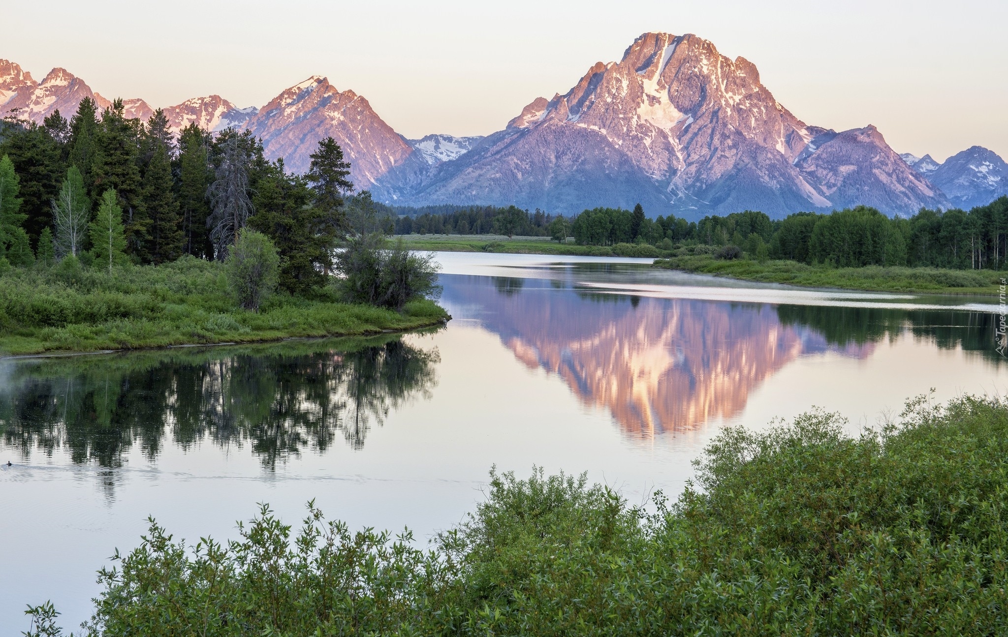 Stany Zjednoczone, Stan Wyoming, Park Narodowy Grand Teton, Góry, Szczyt Mount Moran, Drzewa, Las, Rzeka Snake River, Odbicie