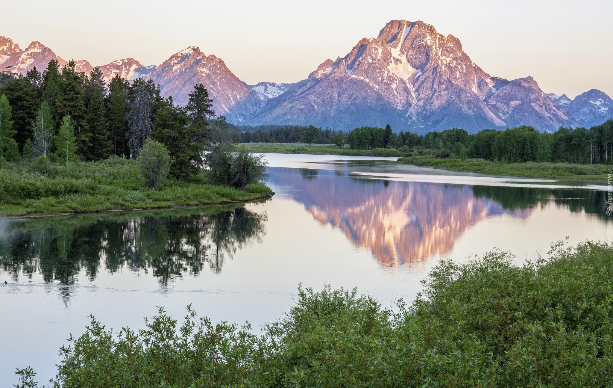 Stany Zjednoczone, Stan Wyoming, Park Narodowy Grand Teton, Góry, Szczyt Mount Moran, Drzewa, Las, Rzeka Snake River, Odbicie