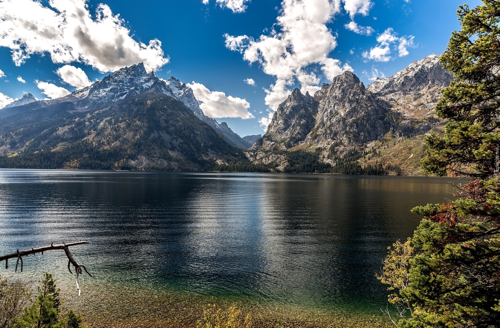 Stany Zjednoczone, Stan Wyoming, Park Narodowy Grand Teton, Jezioro Jenny Lake, Góry, Drzewa