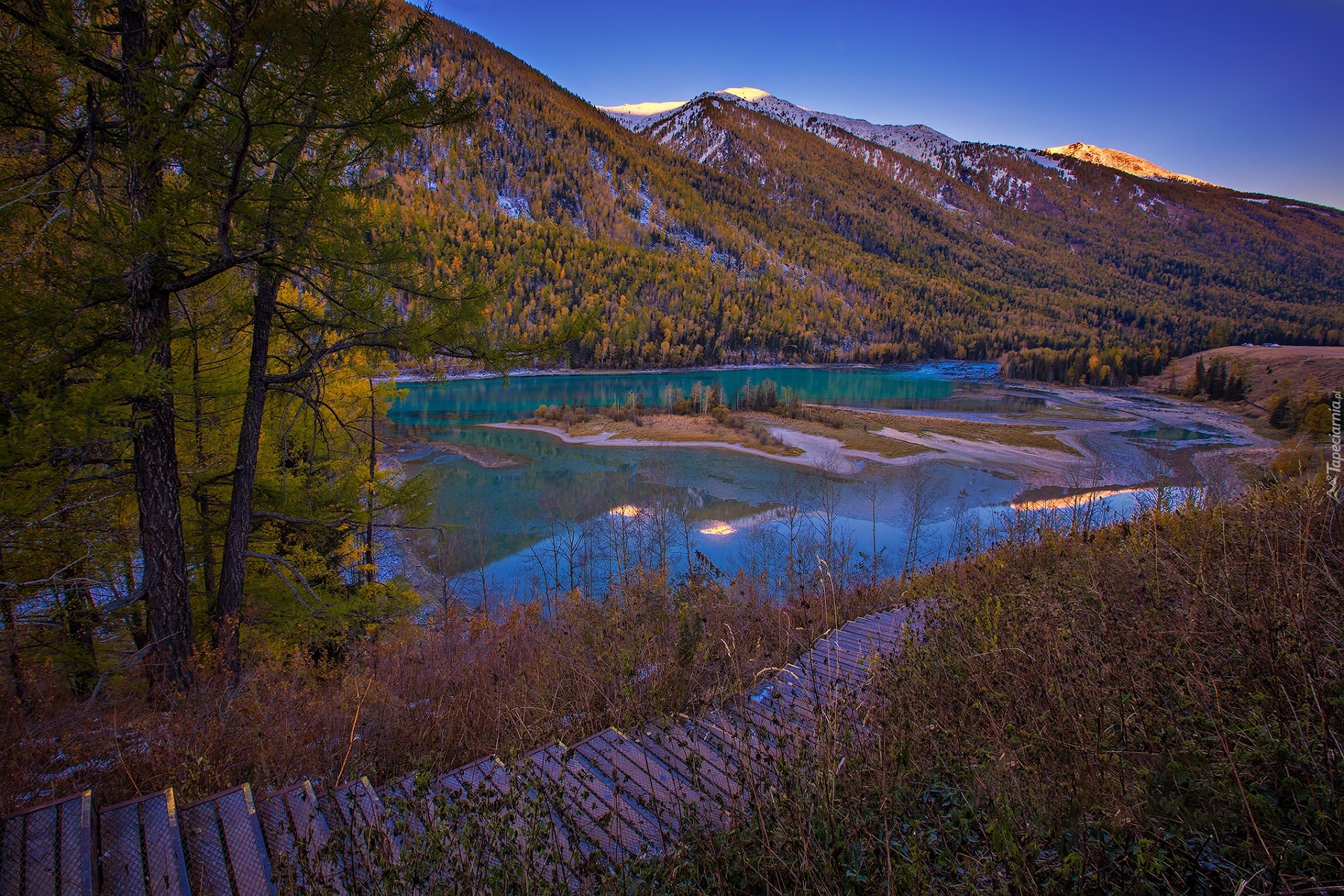 Chiny, Hrabstwo Xinjiang, Okręg Burqin, Jezioro, Kanas Lake, Góry, Drzewa