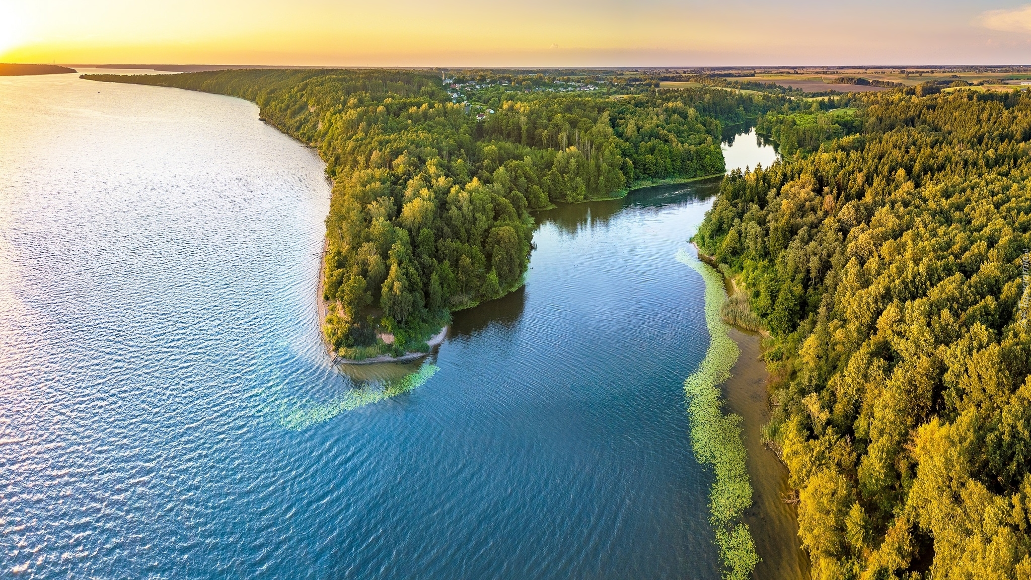 Jezioro Kaunas Reservoir, Park regionalny Kauno marios, Kowno, Litwa, Lasy