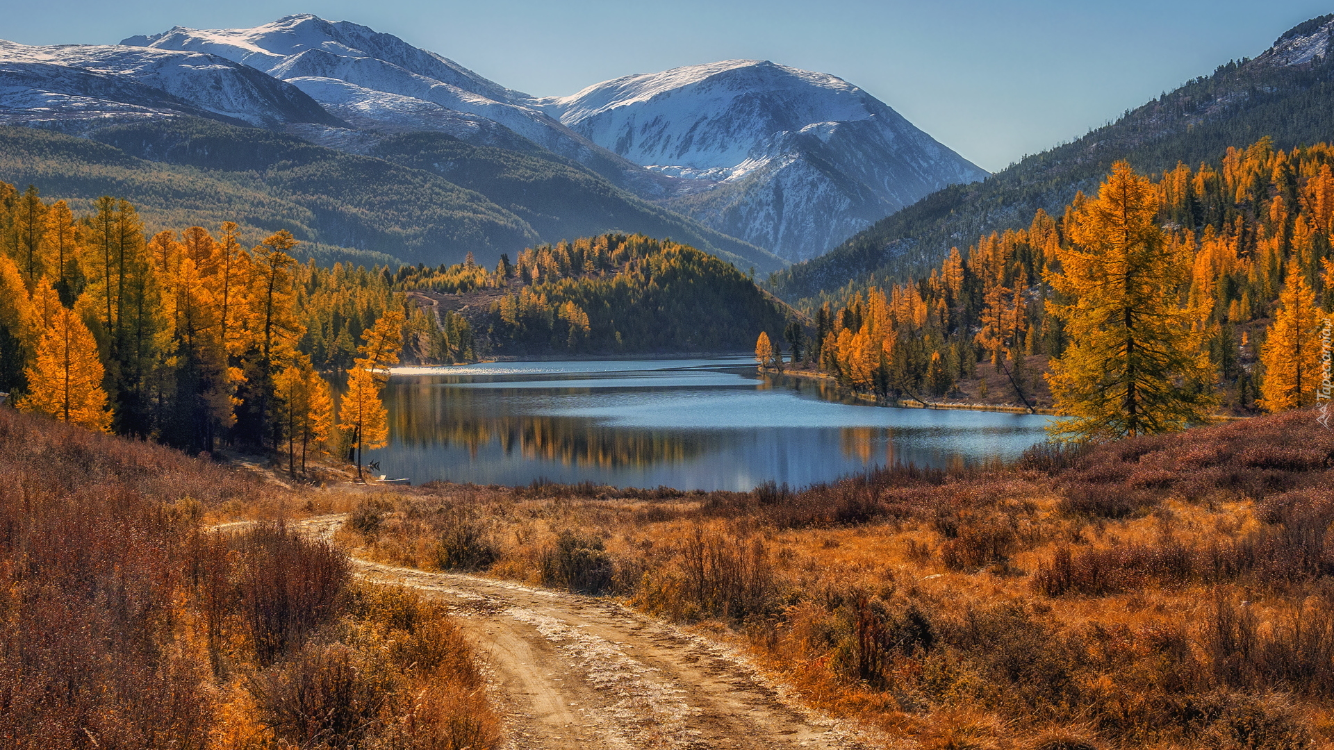 Jezioro Kok-Kol, Góry, Ałtaj, Drzewa, Modrzewie, Jesień, Republika Ałtaju, Rosja