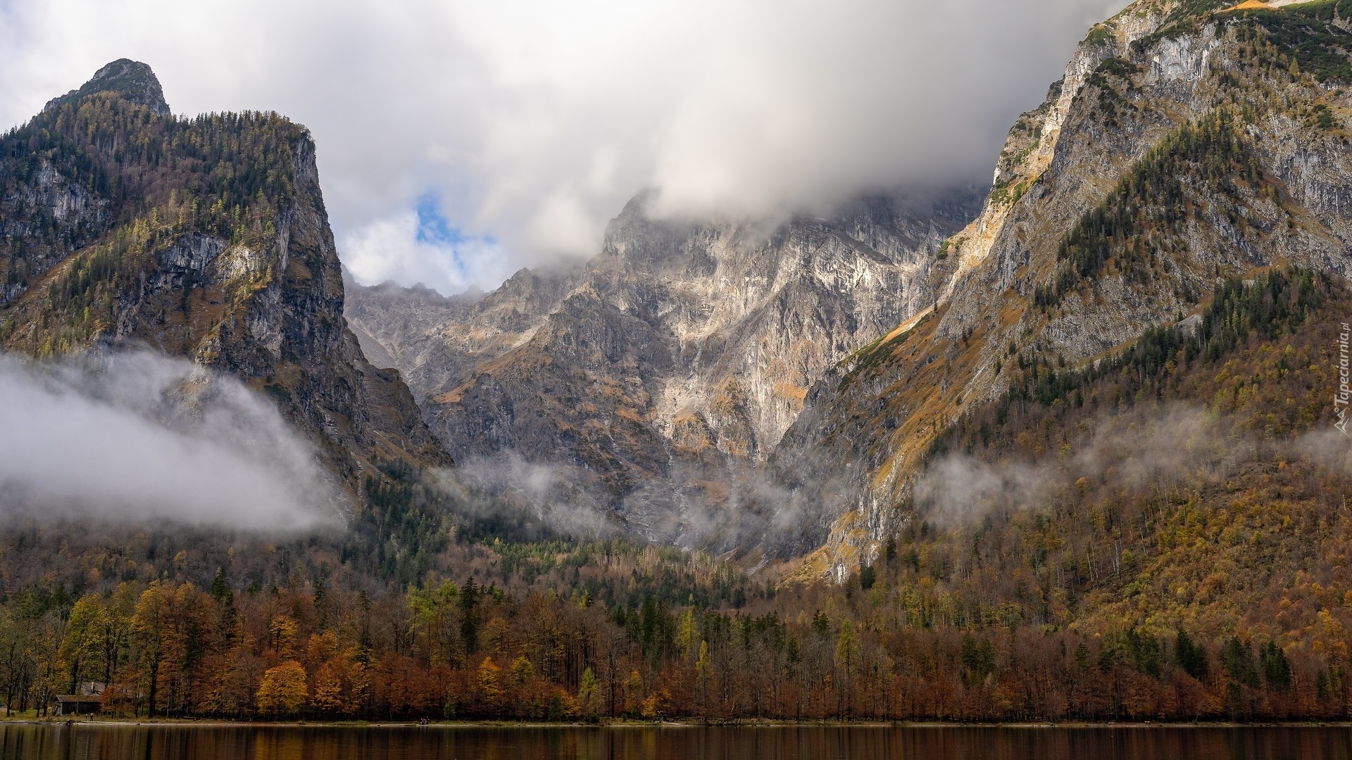 Góry, Alpy, Mgła, Drzewa, Jezioro Konigssee, Niemcy