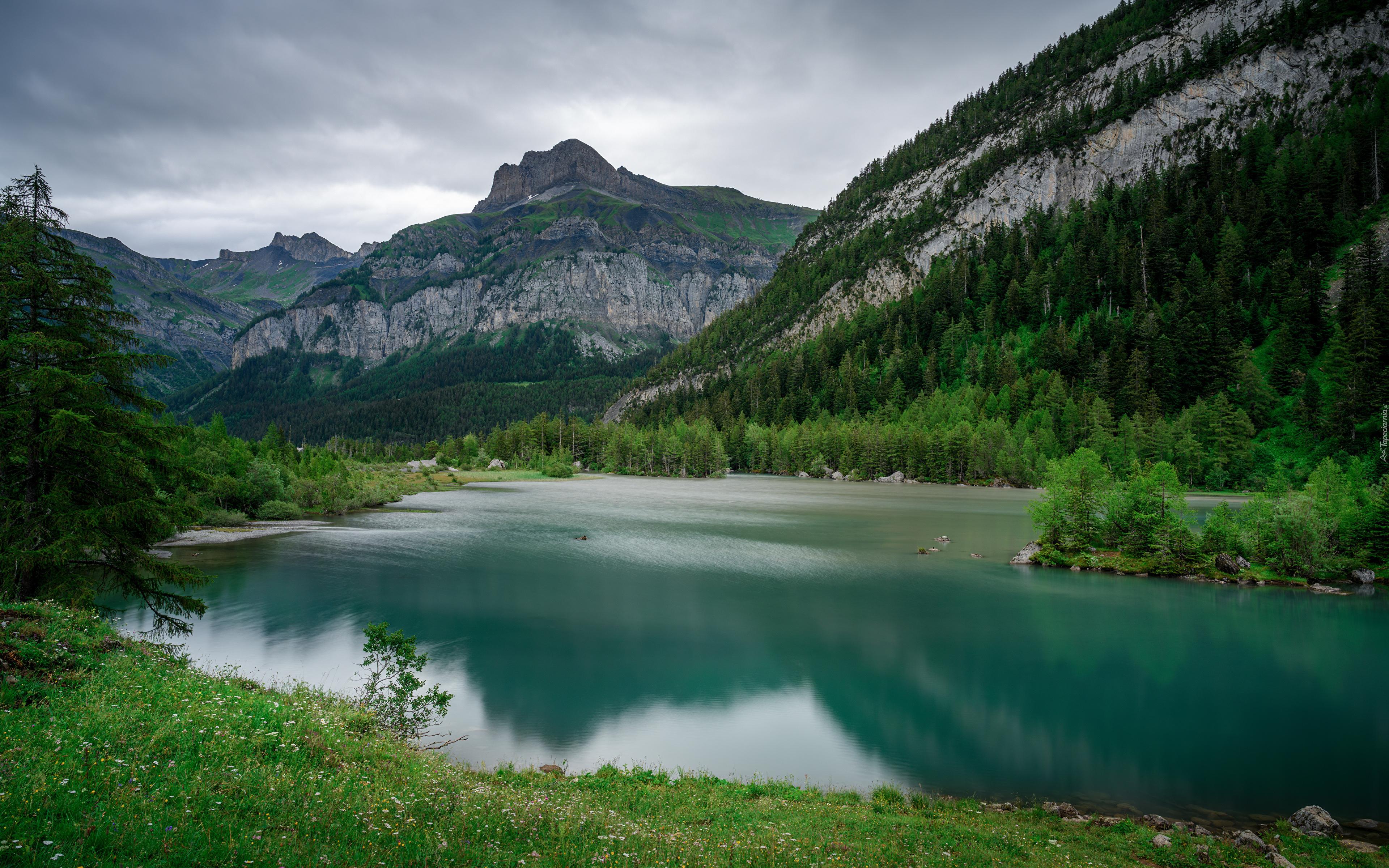 Szwajcaria, Kanton Valais, Góry, Alpy Berneńskie, Jezioro, Lac de Derborence, Lasy