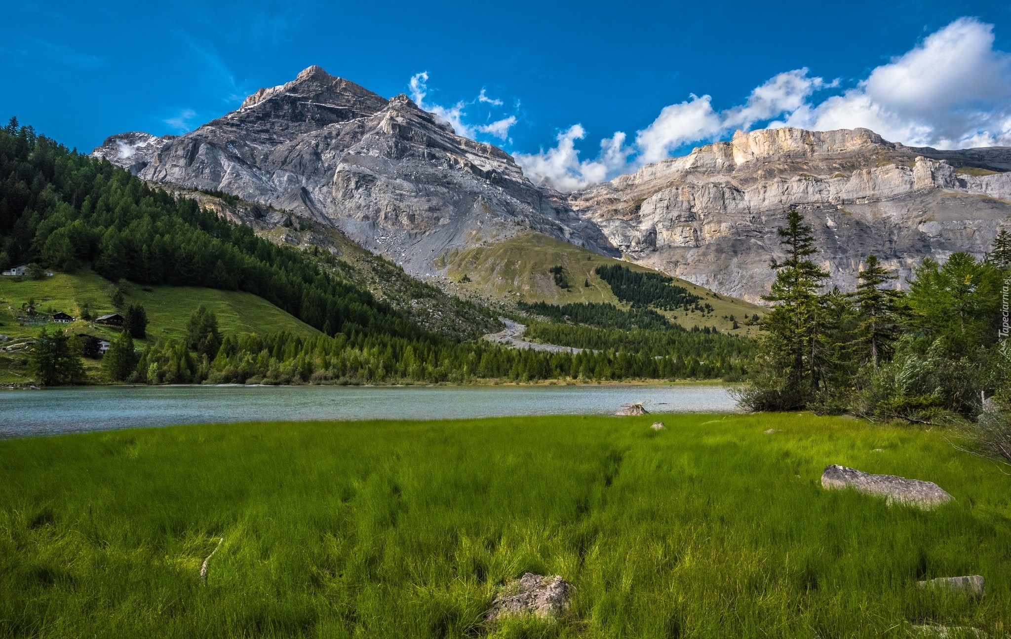 Szwajcaria, Kanton Valais, Alpy Berneńskie, Pasmo Les Diablerets, Jezioro Lac de Derborence, Góry, Rzeka, Świerki, Trawa