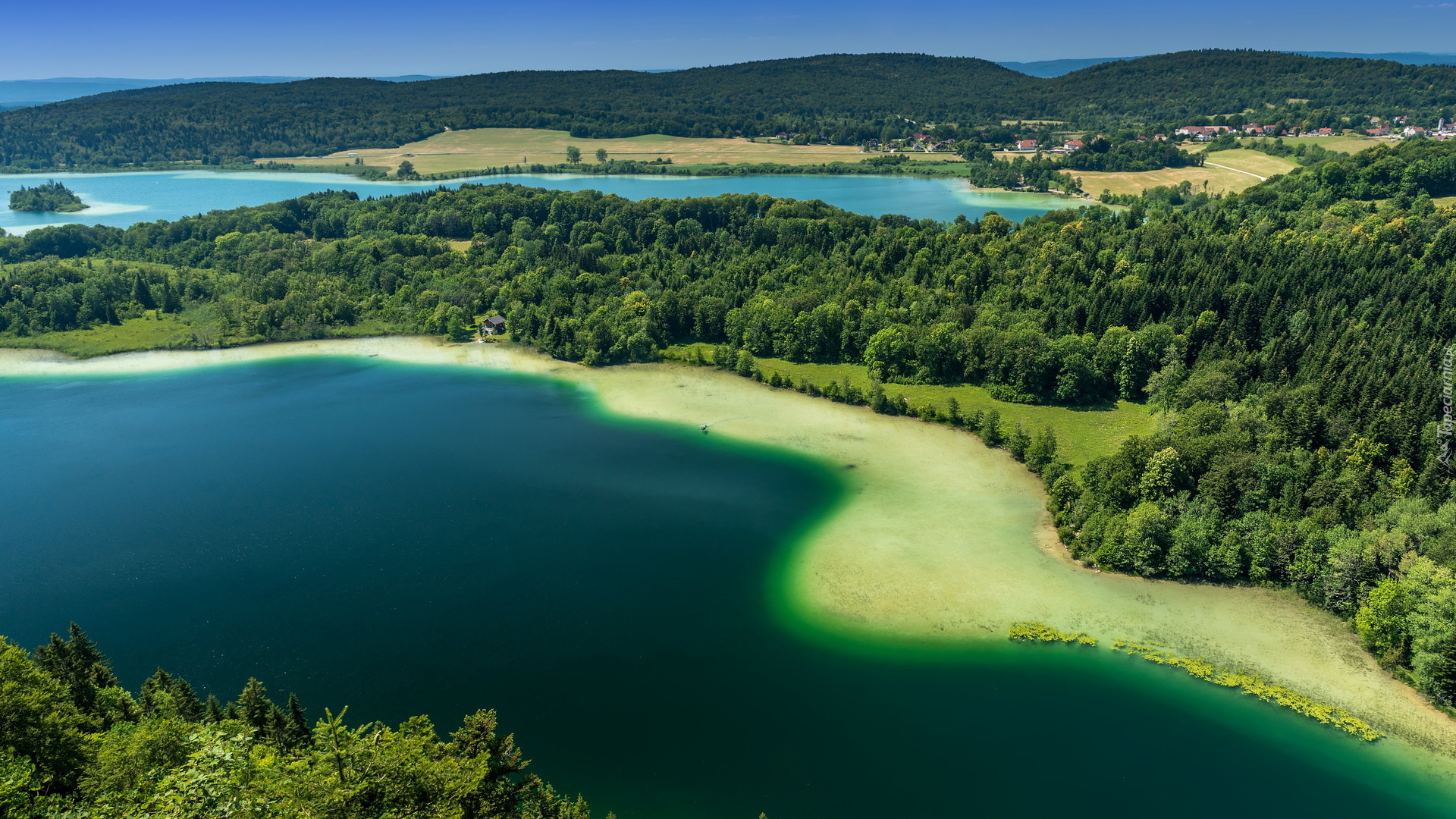 Jezioro, Lac de Narlay, Lasy, Zielone, Drzewa, Jura, Francja