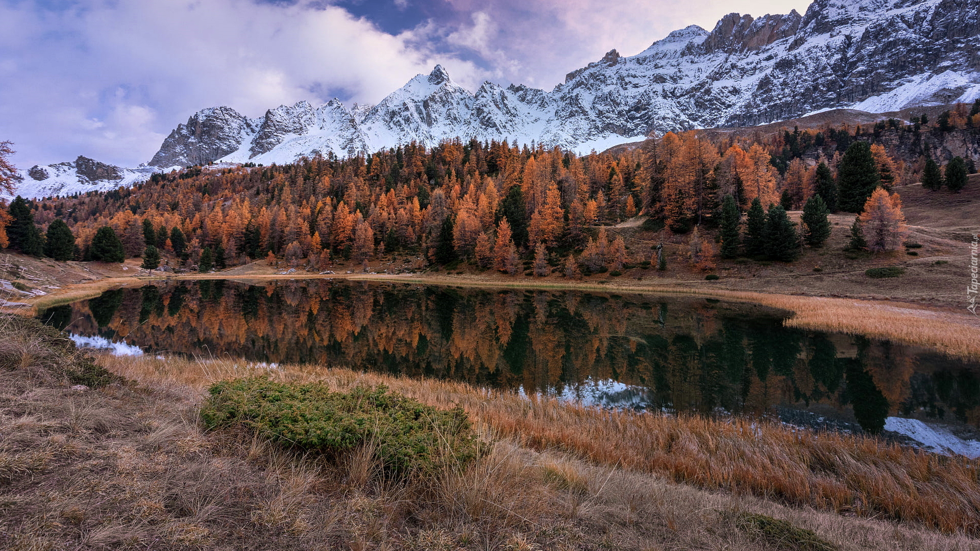 Ośnieżone, Góry, Jesienne, Drzewa, Jezioro, Lac Miroir, Ceillac, Francja