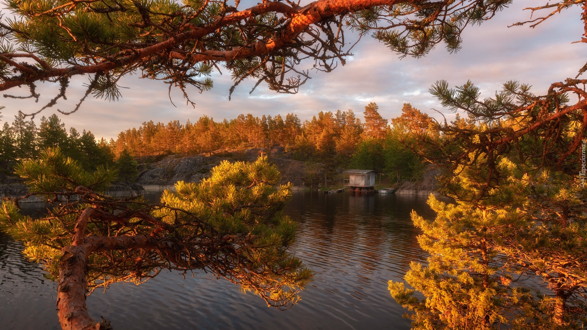 Jezioro Ładoga, Drzewa, Jesień, Chmury, Rosja