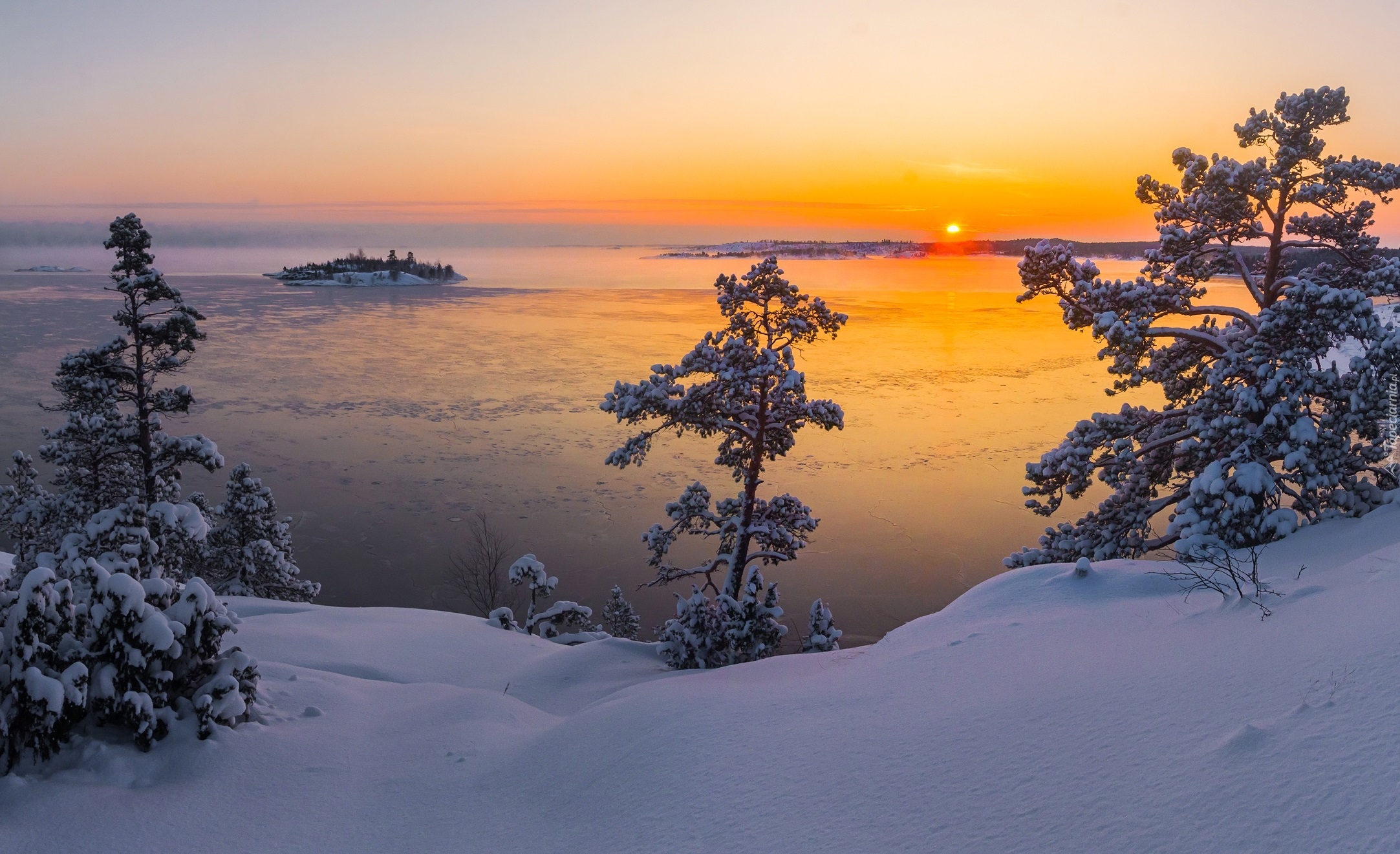 Wschód słońca, Zima, Jezioro Ładoga, Wyspa, Drzewa, Śnieg, Karelia, Rosja