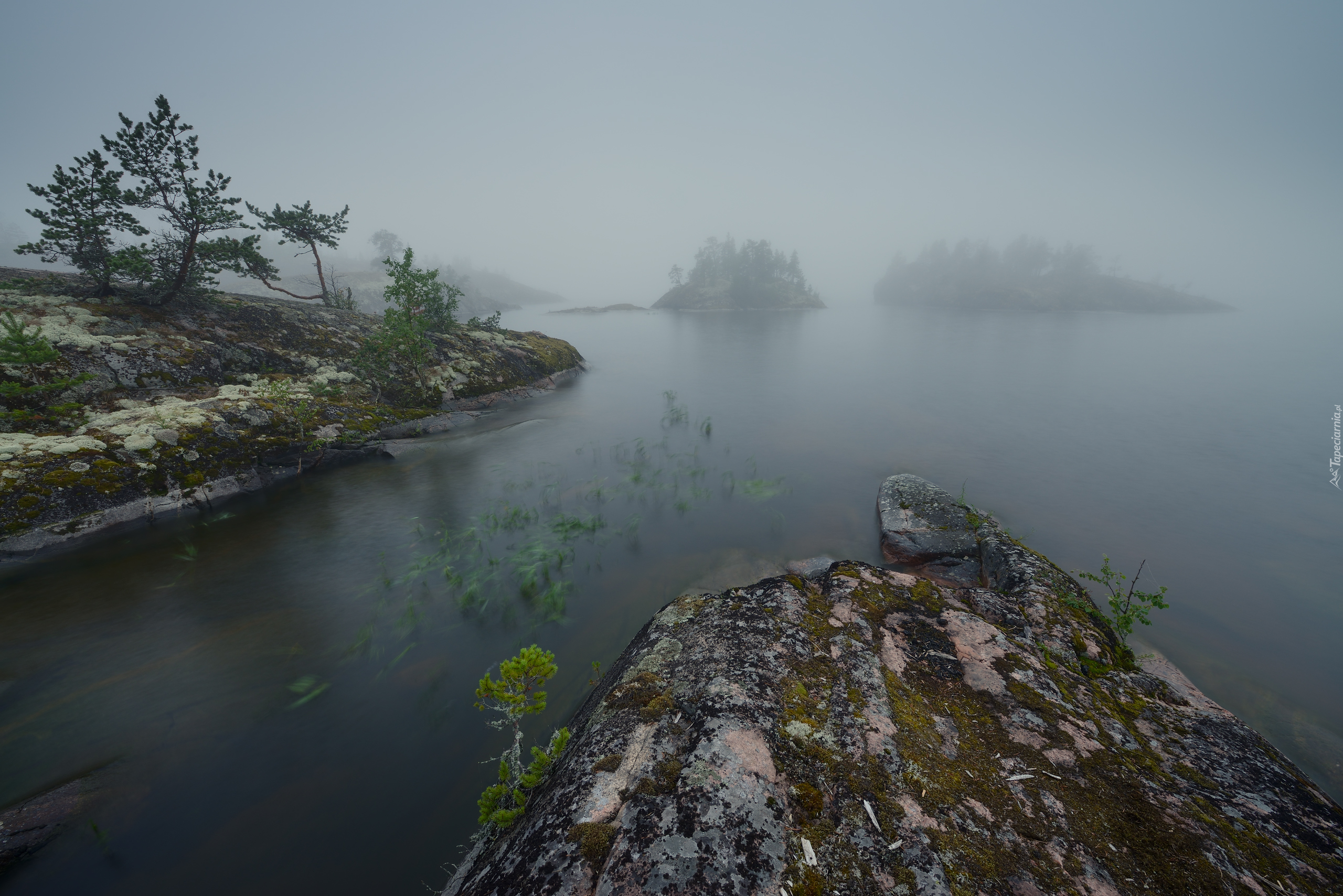 Jezioro Ładoga, Mgła, Drzewka, Skały, Wysepki, Karelia, Rosja